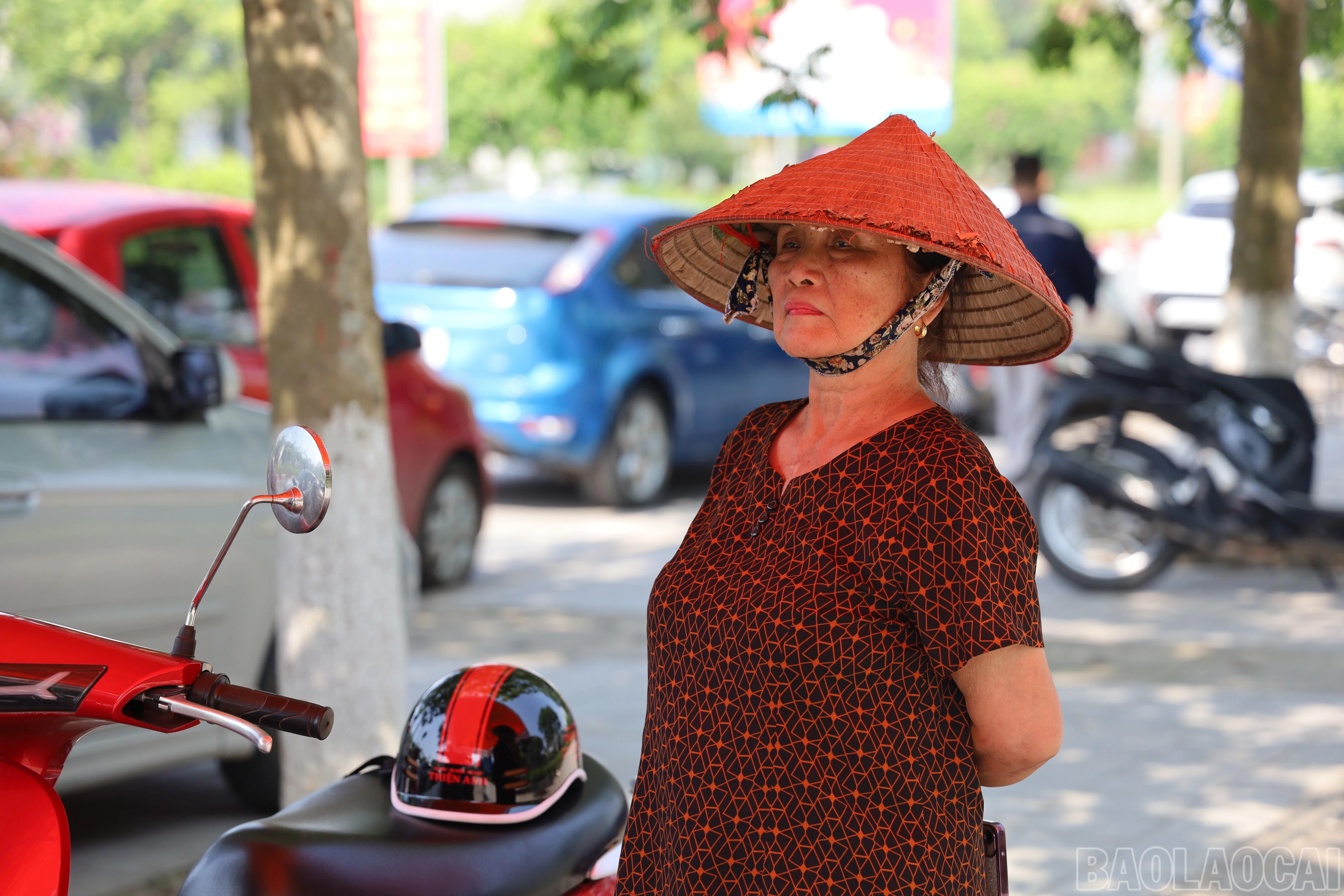 baolaocai-br_img-1679.jpg
