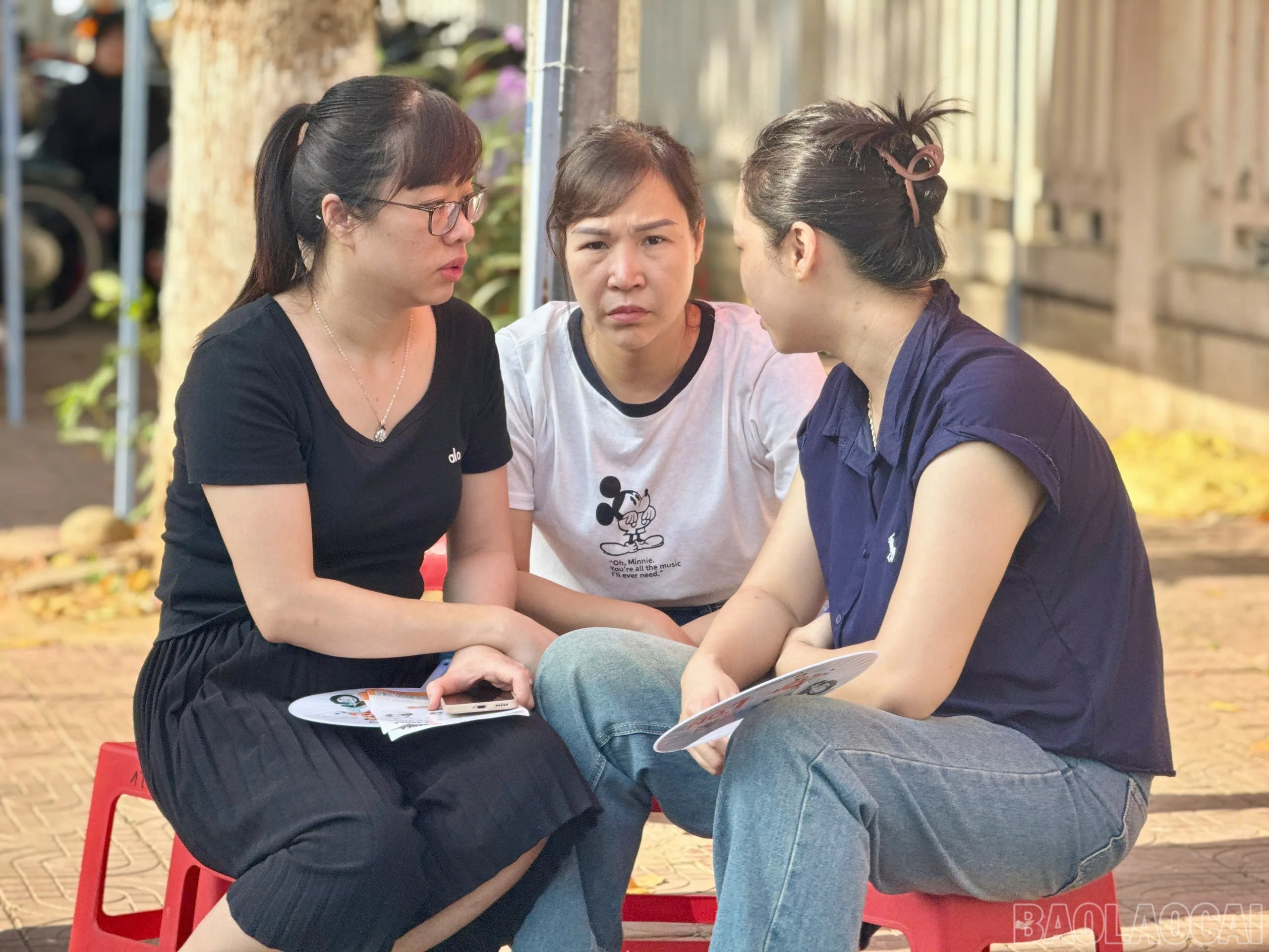 baolaocai-br_z7869559036834-21a00b6151099909e585dce6203f16d2.jpg