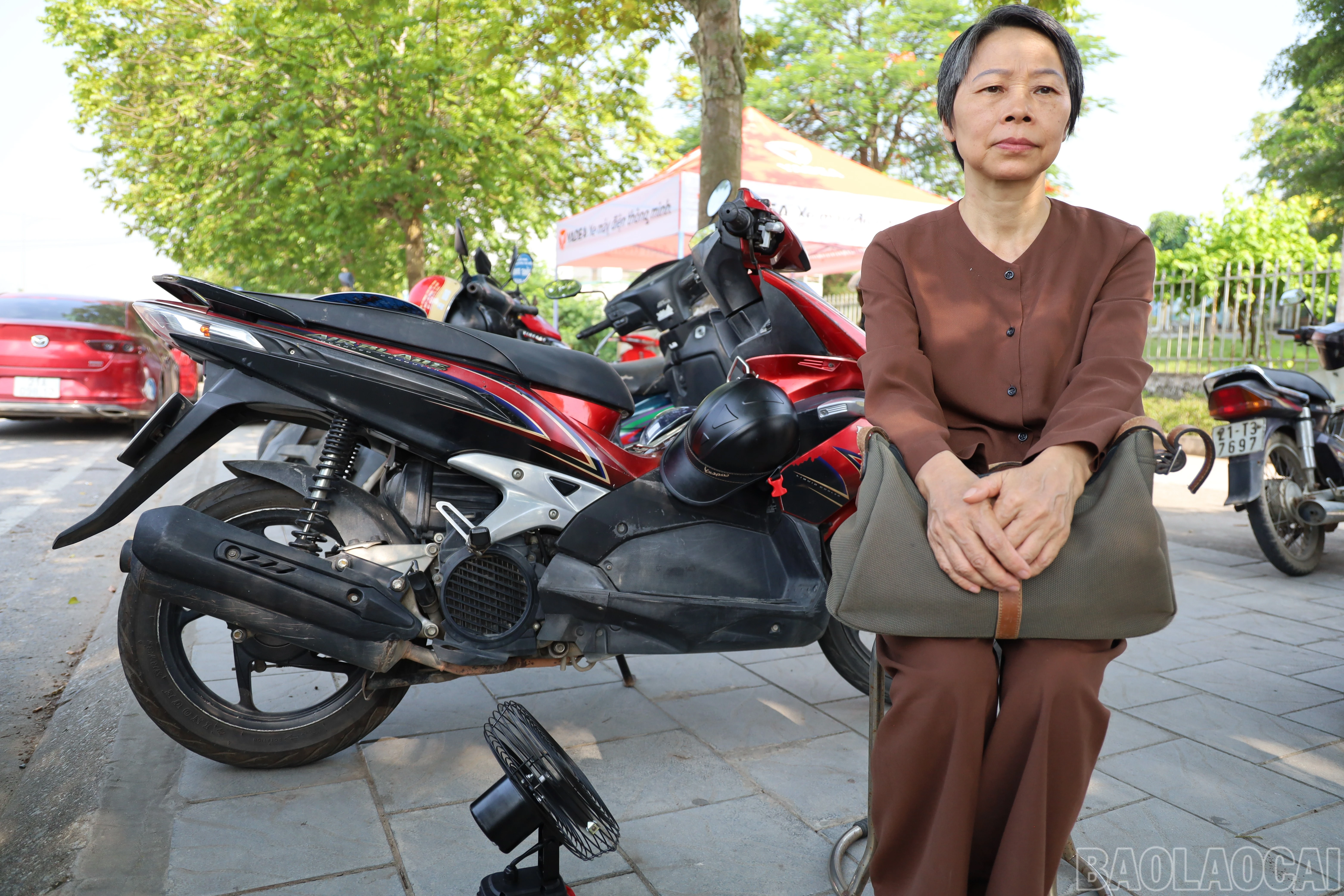 baolaocai-br_img-1643.jpg