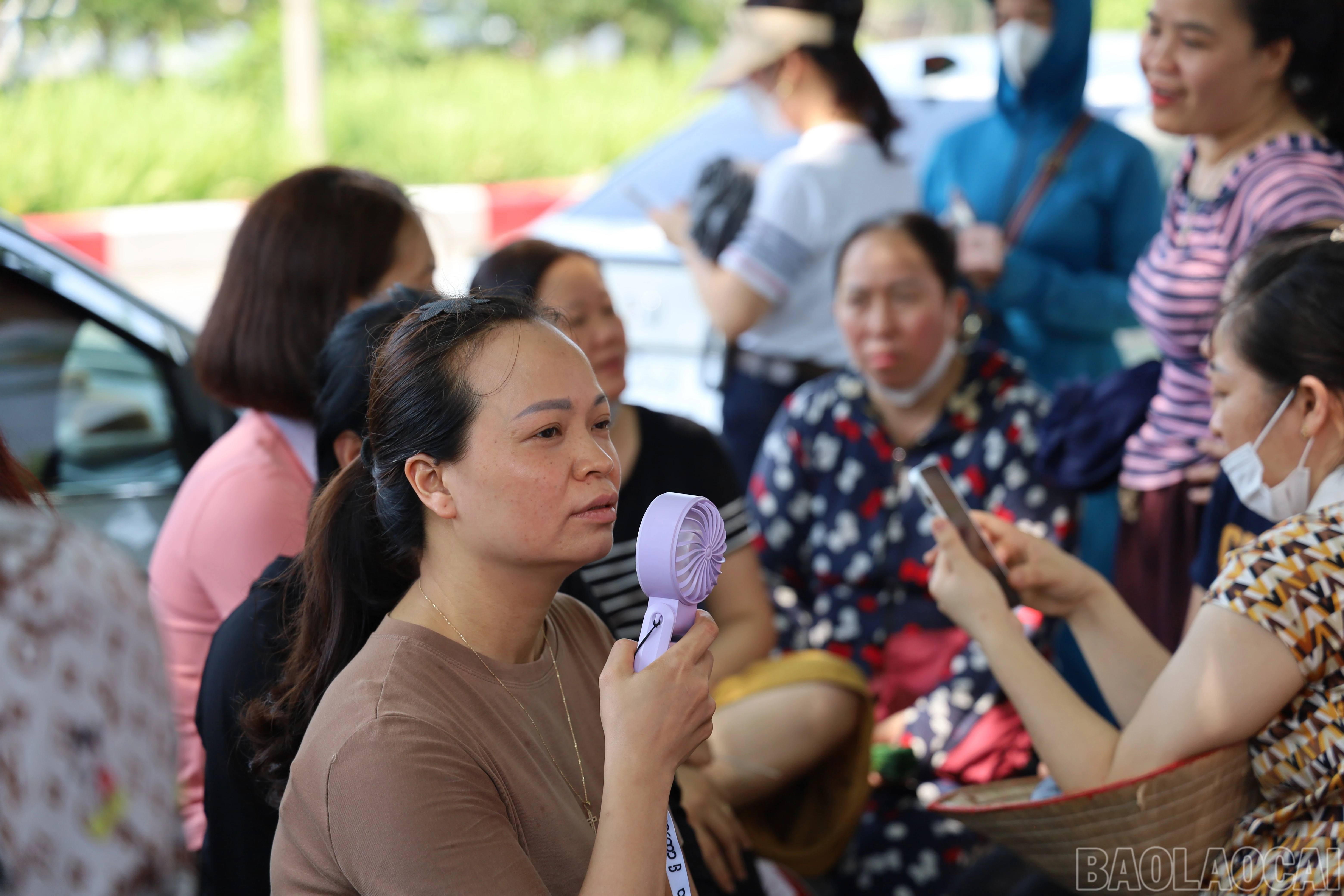 baolaocai-br_img-1690.jpg