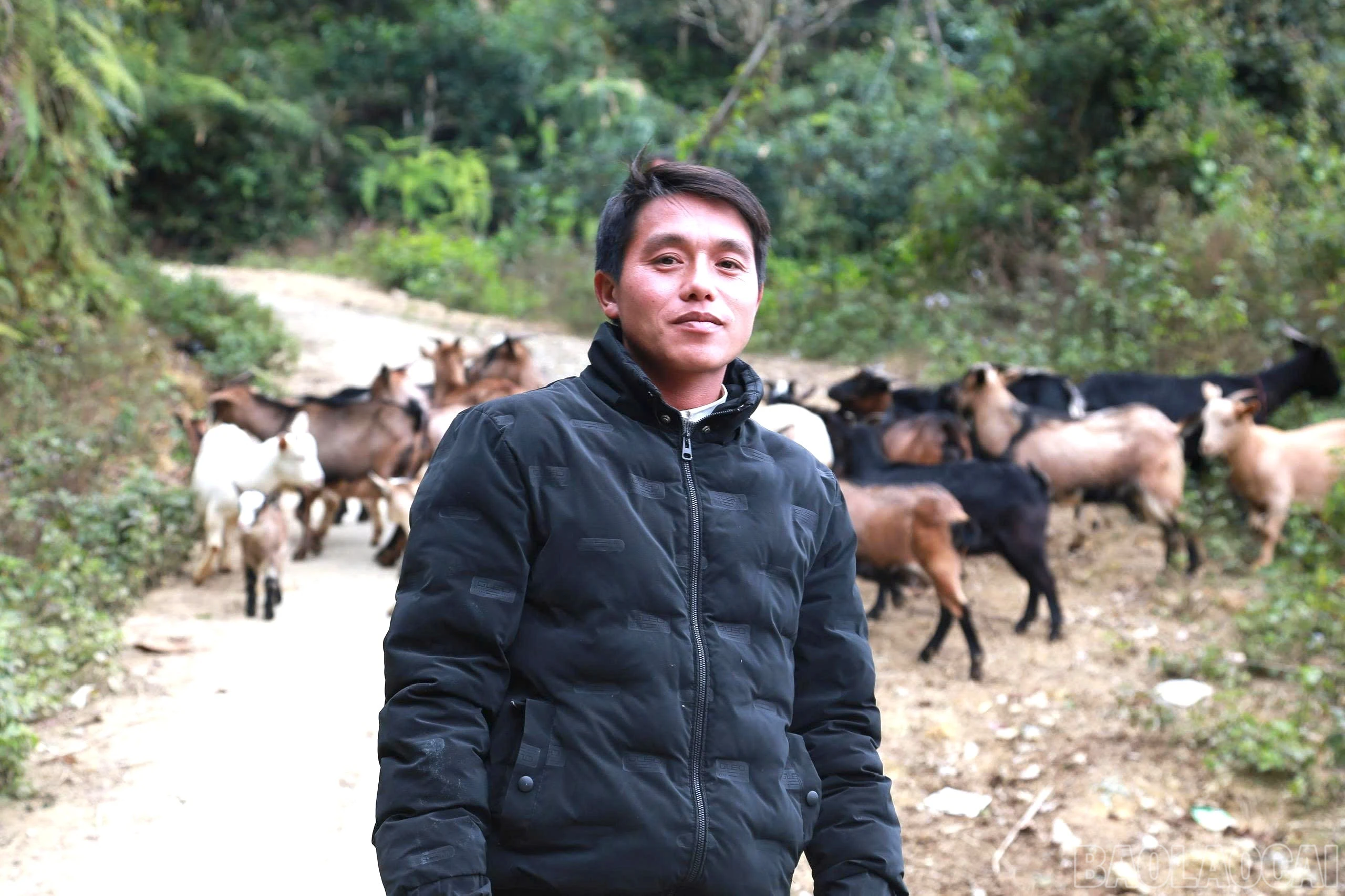 baolaocai-br_z7379123381113-8e766af53fc2ef7c976f90a4937704fc.jpg