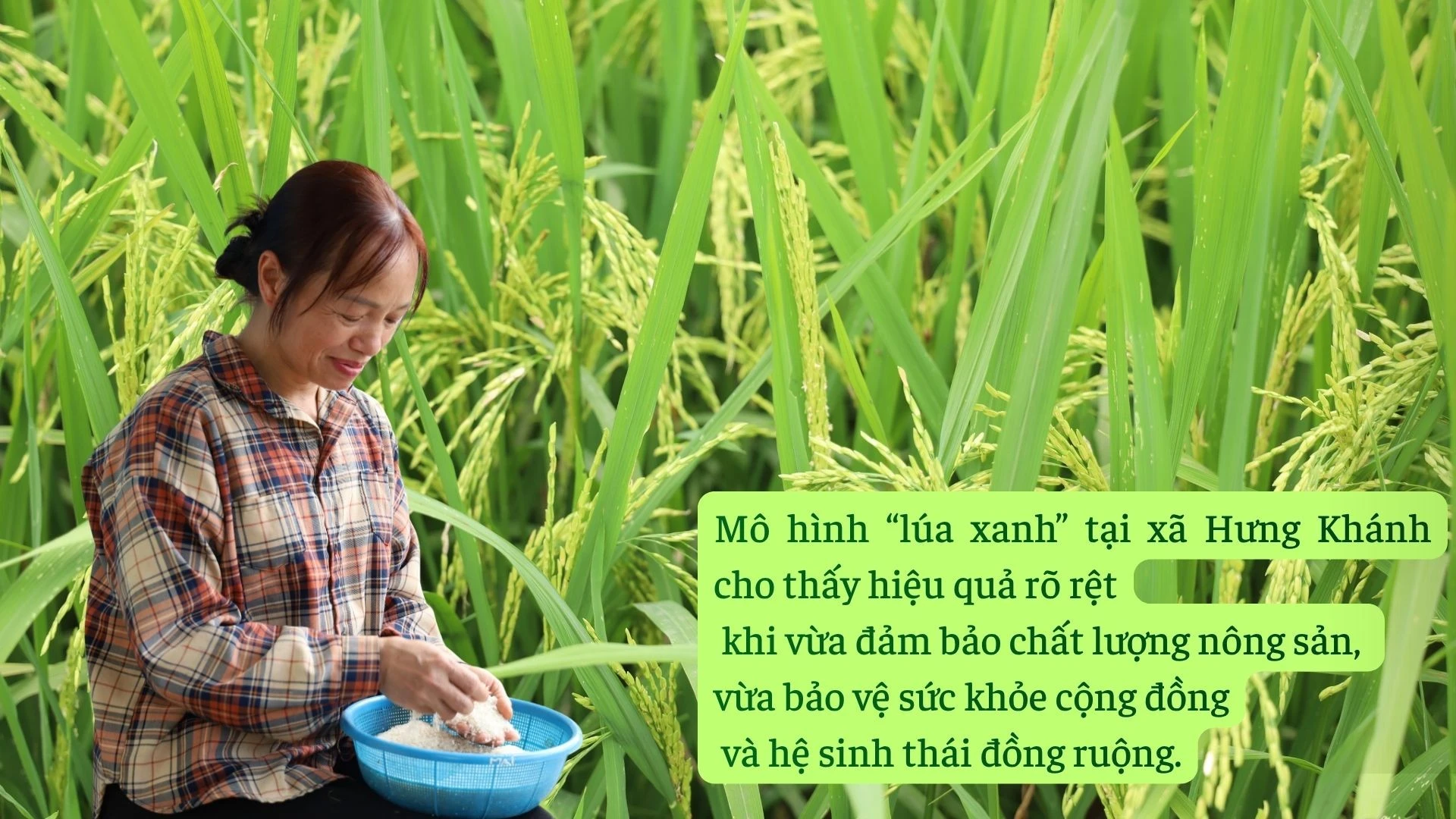 anh-5-8853.jpg