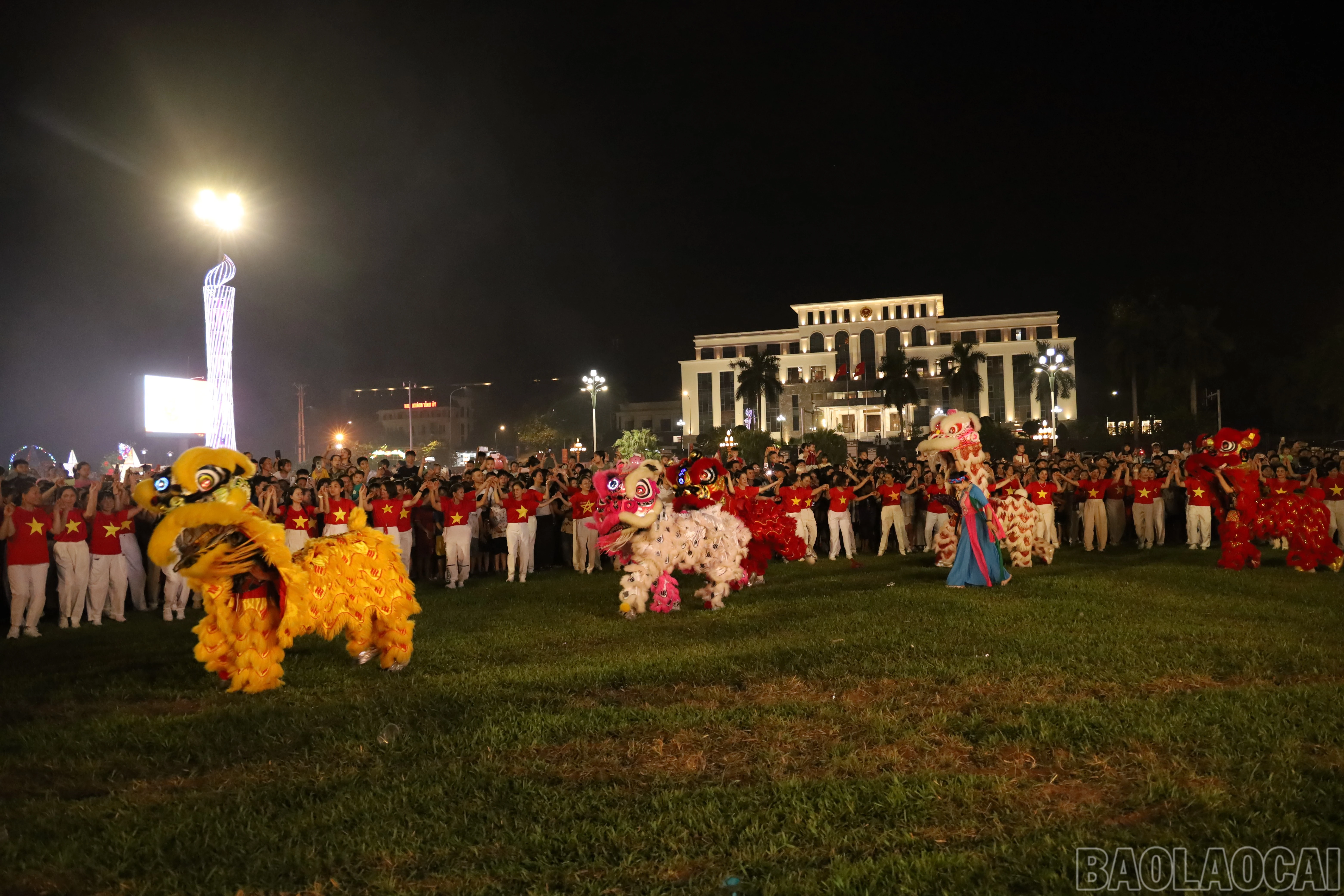 baolaocai-br_img-5977.jpg