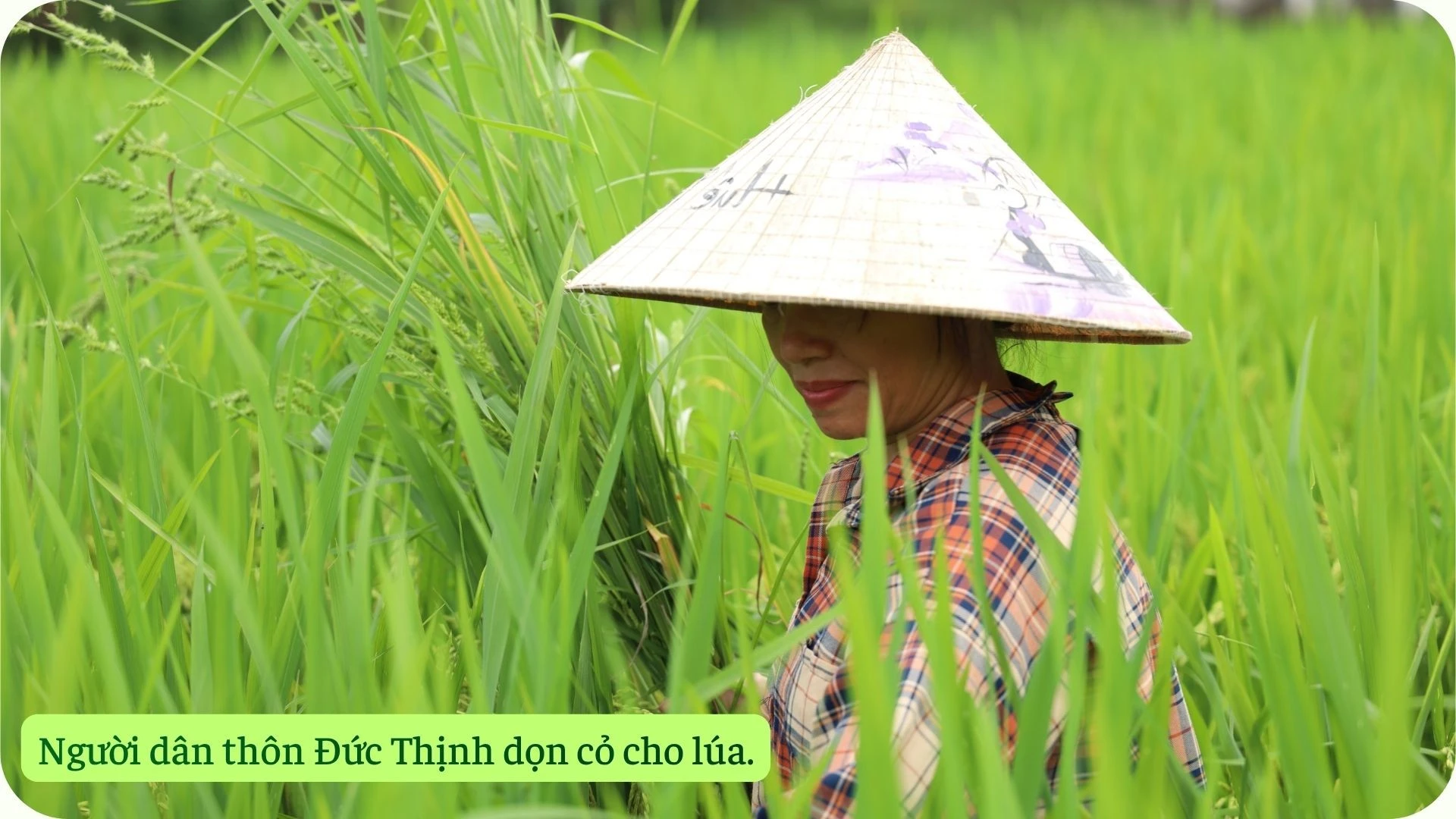 anh-3.jpg
