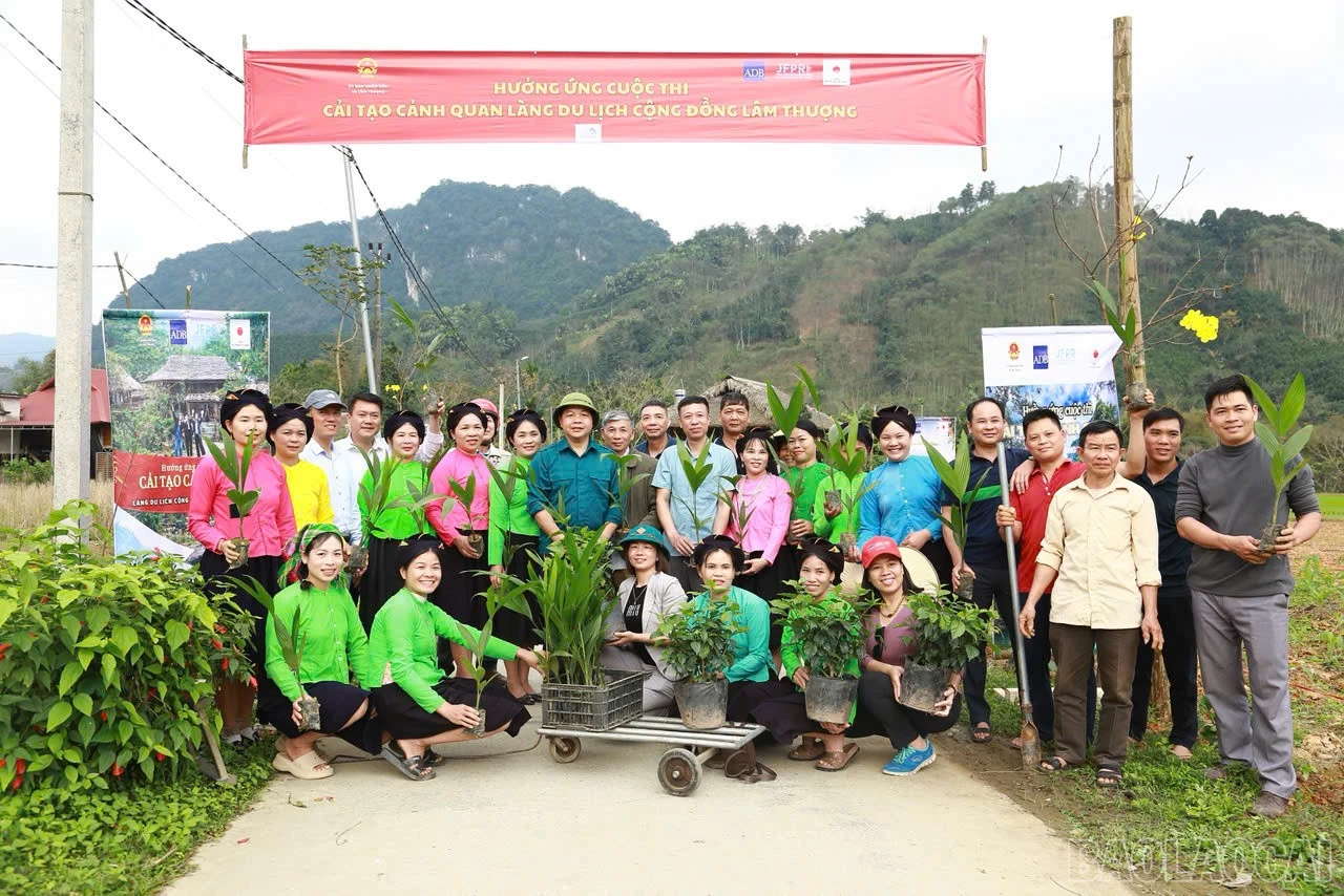 baolaocai-br_z7587186237452-733ac23a2c7c7f9e91014b6b6df0211c.jpg