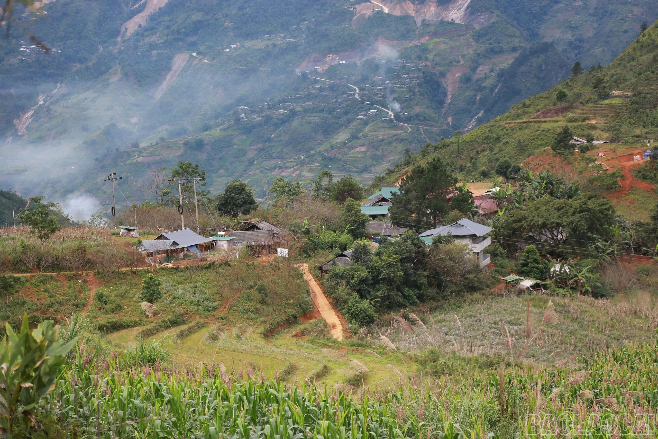 baolaocai-br_ta-xi-lang.jpg