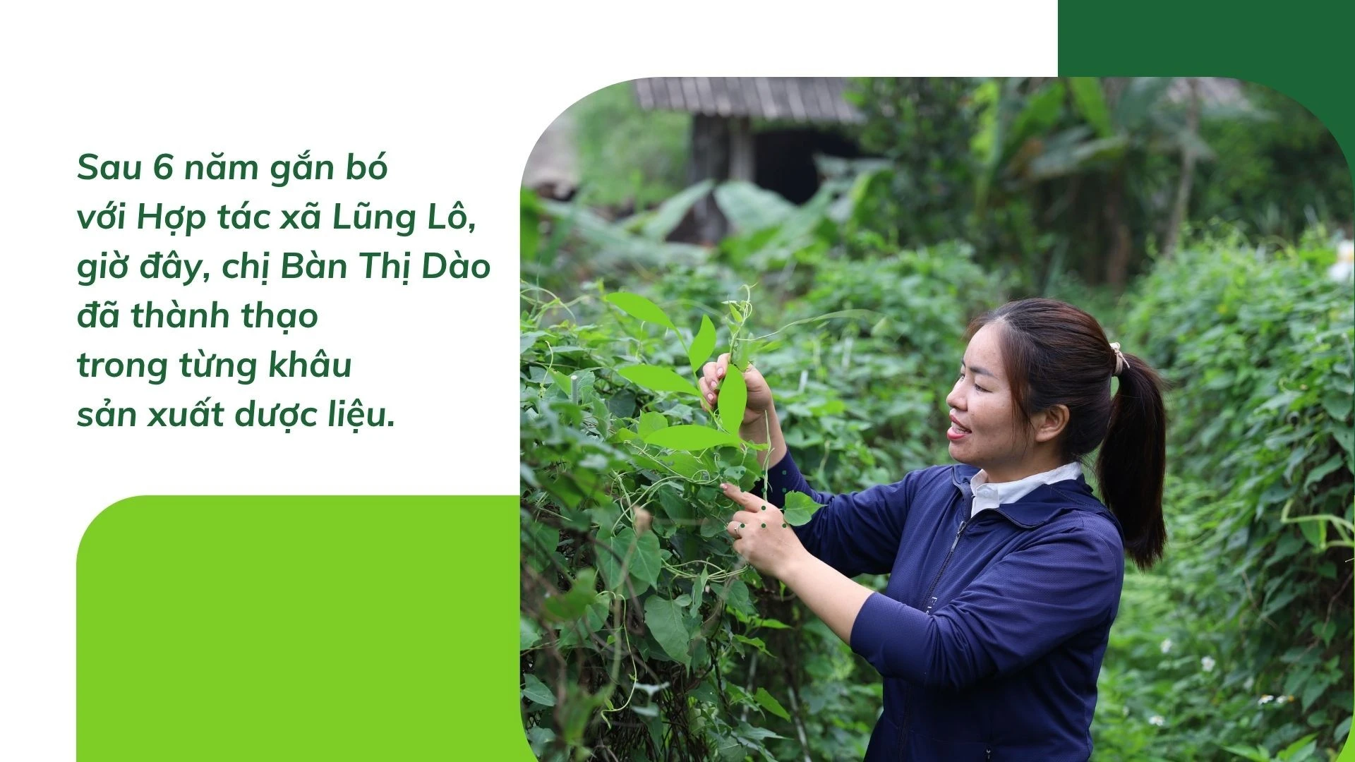 ban-thi-dao-6.jpg