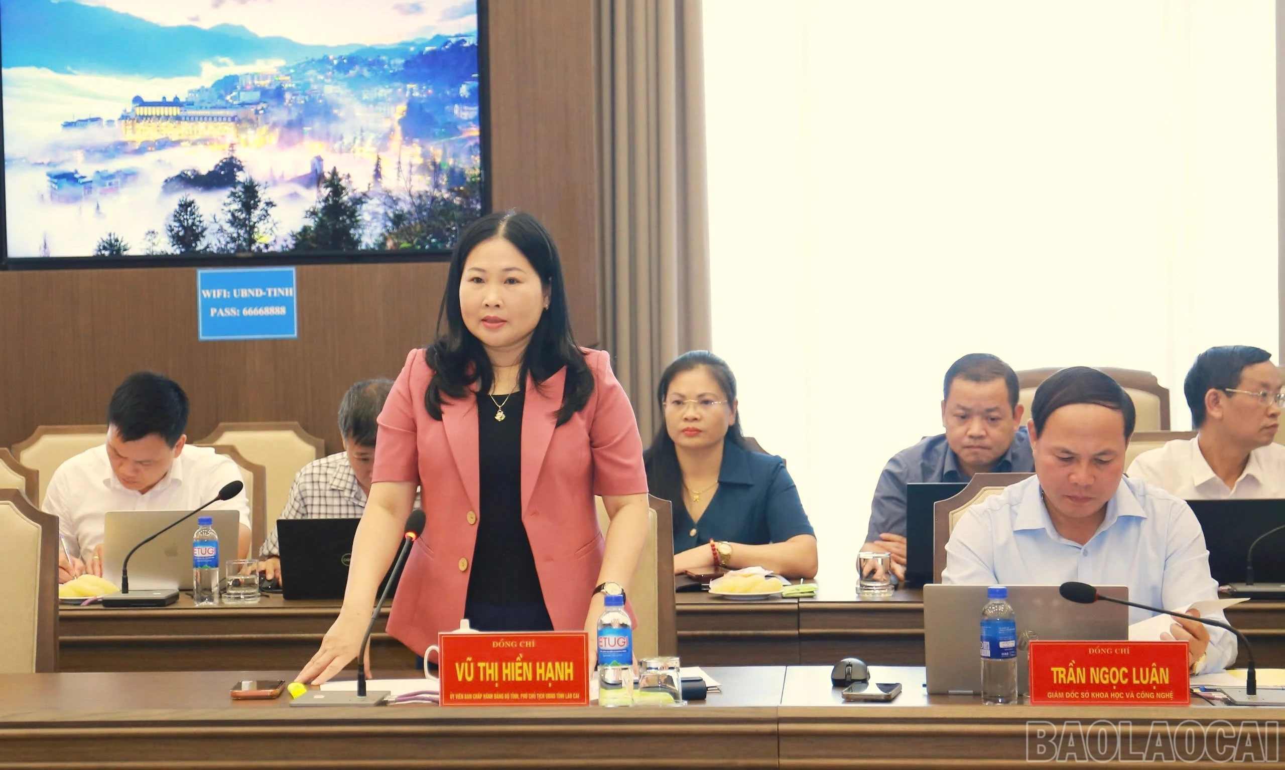 baolaocai-br_70f7ebb1-677e-402b-8951-8233c59b1304-1-201-a.jpg