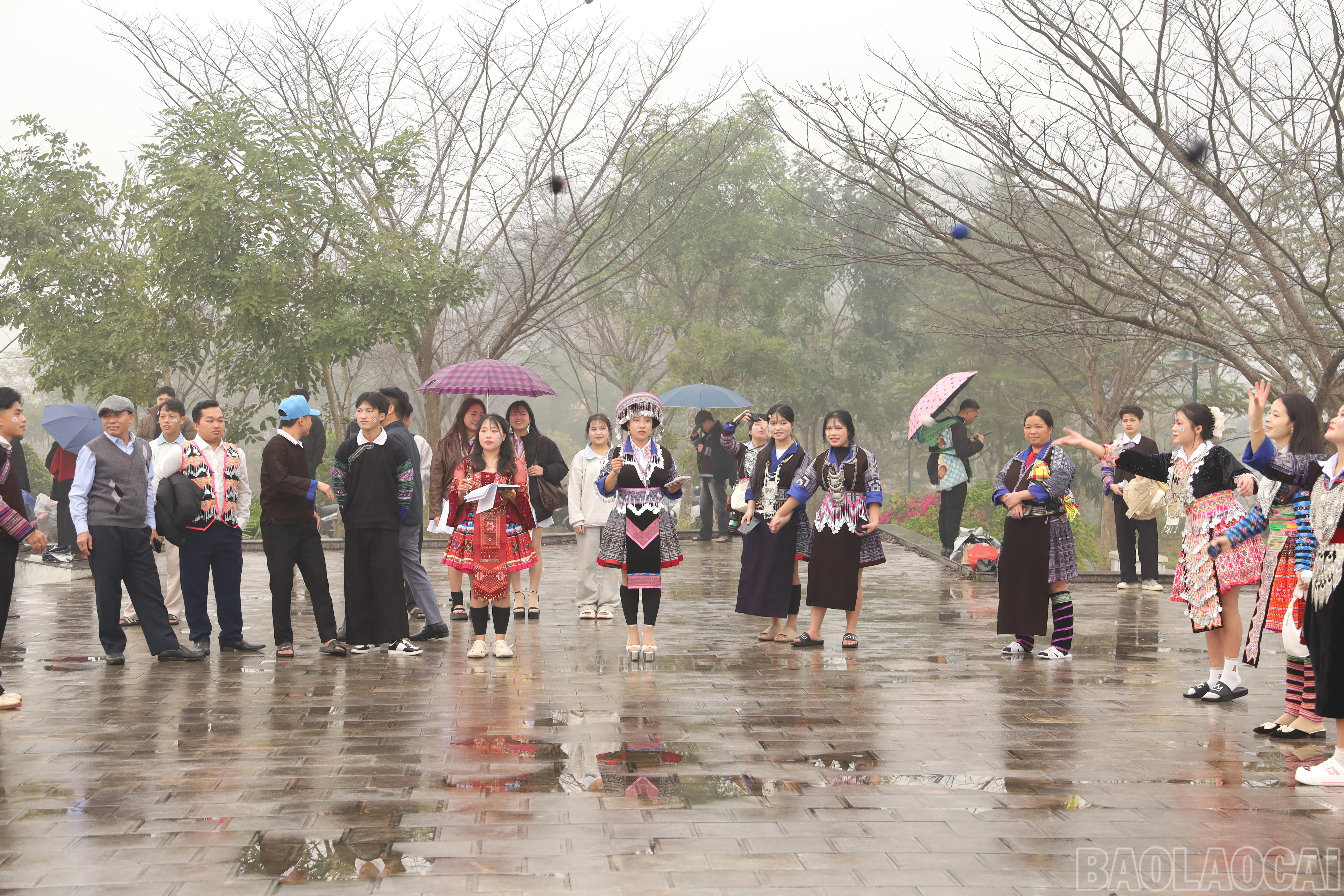 baolaocai-br_img-0325.jpg