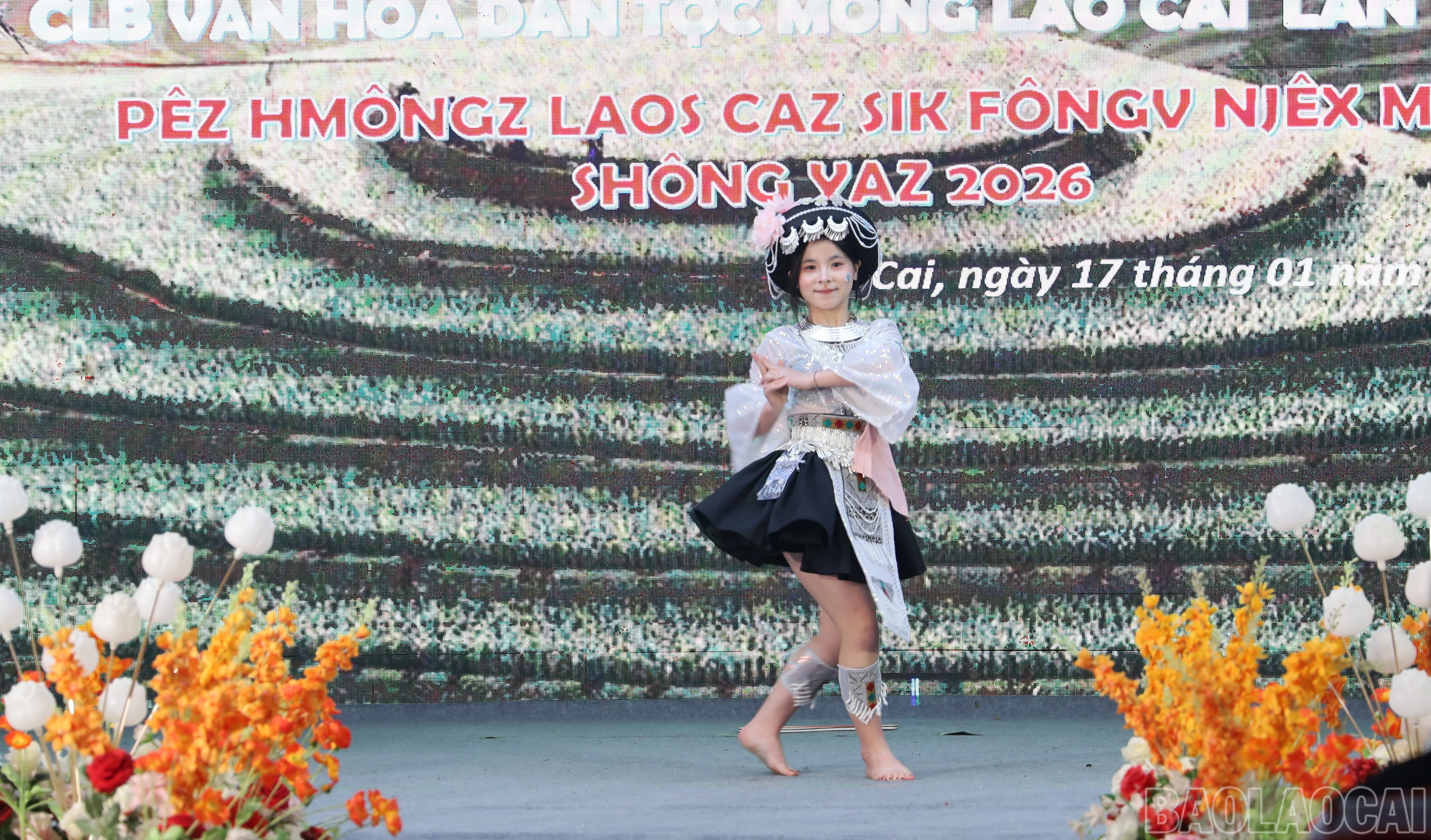 baolaocai-br_img-0504.jpg
