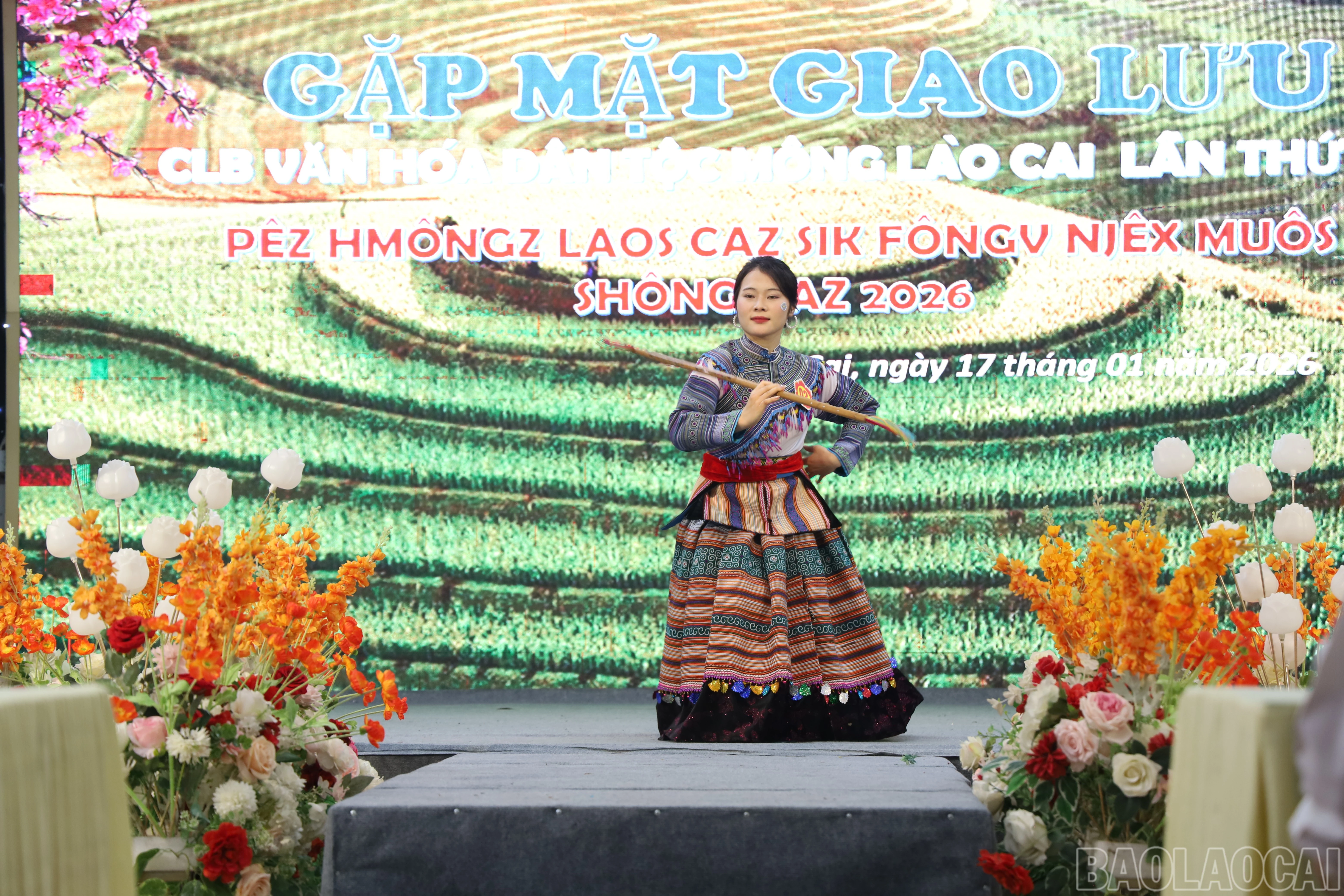 baolaocai-br_img-0439.jpg