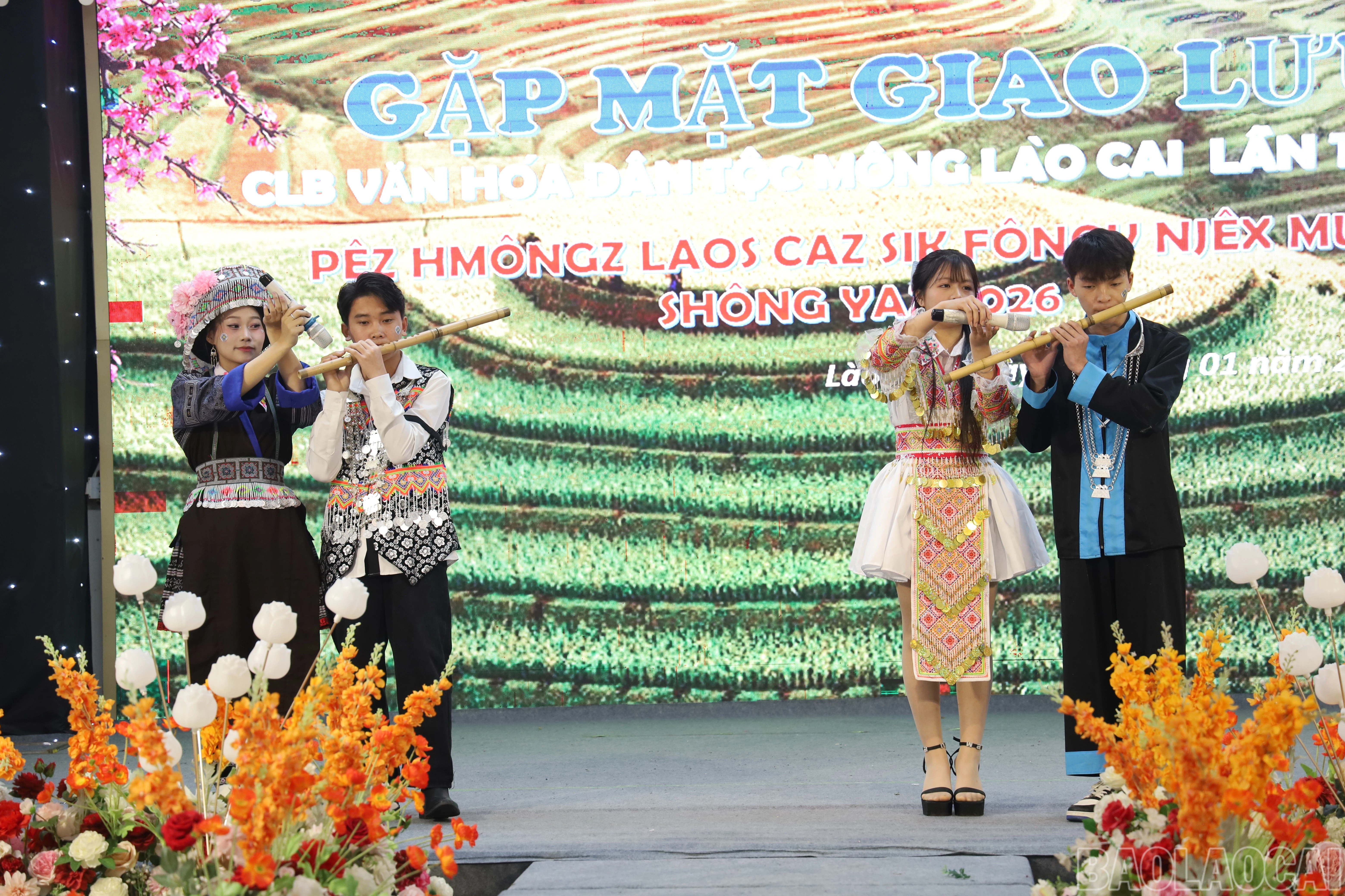 baolaocai-br_img-0409.jpg