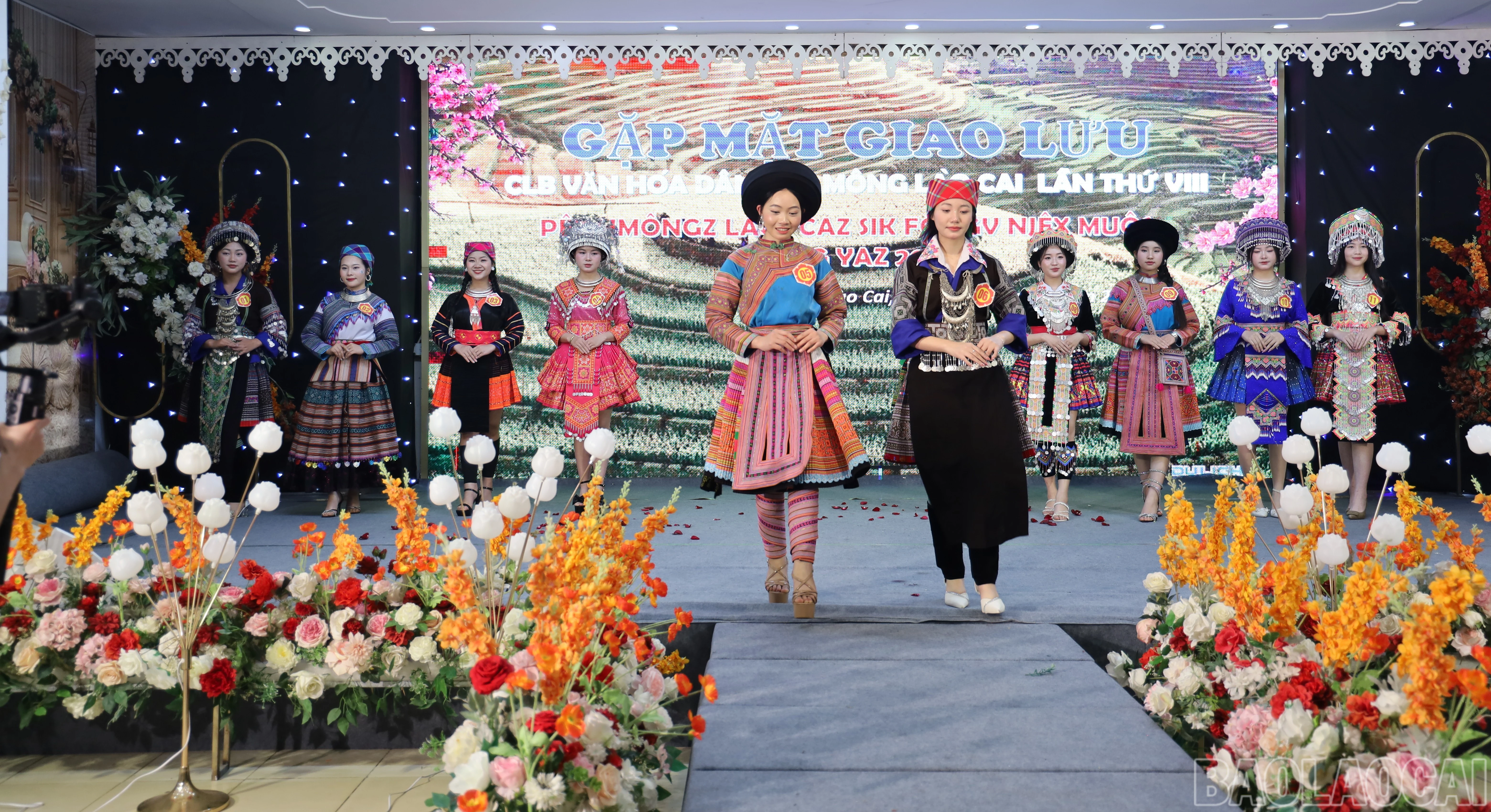 baolaocai-br_img-0613.jpg
