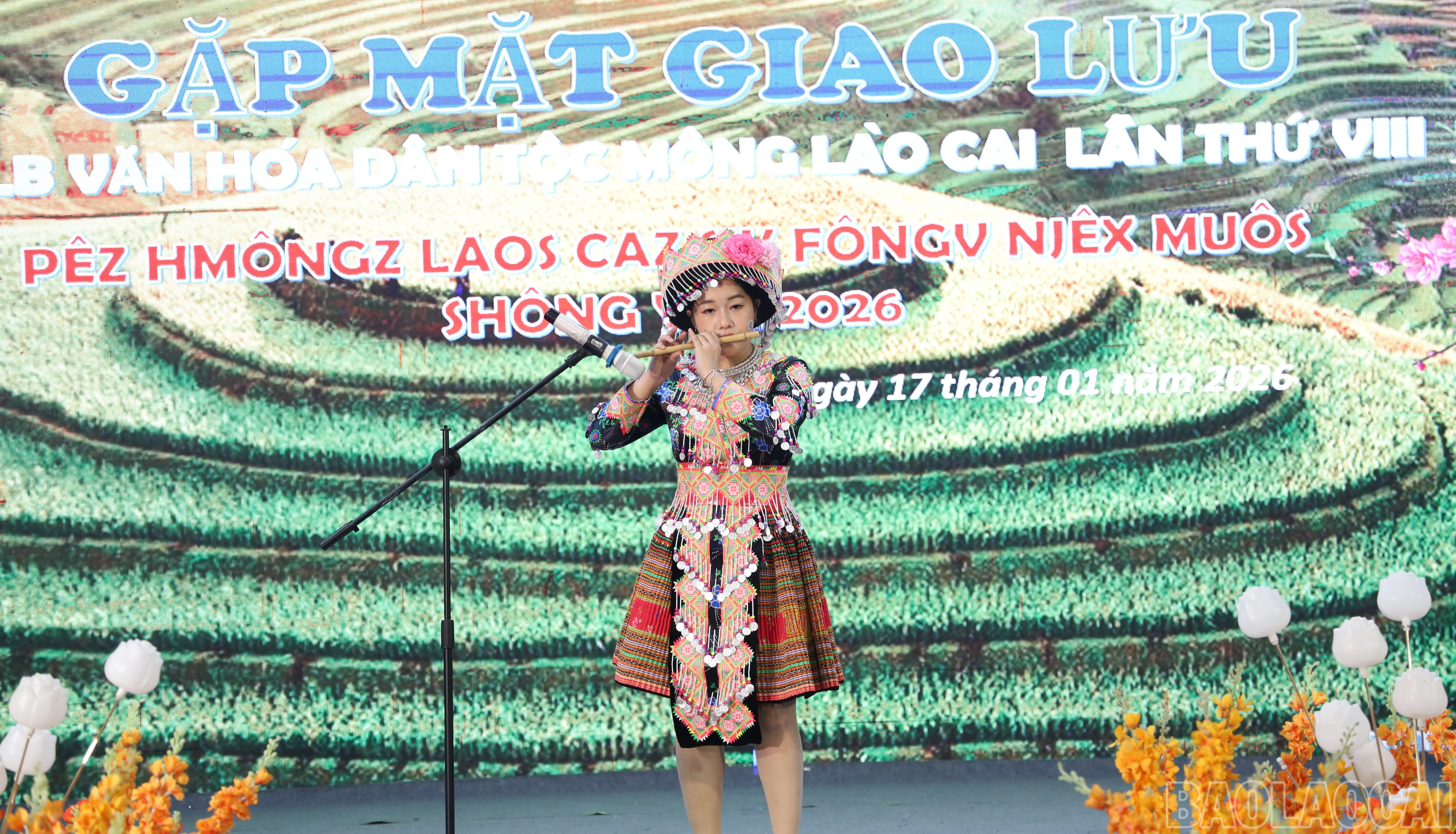 baolaocai-br_img-0505.jpg