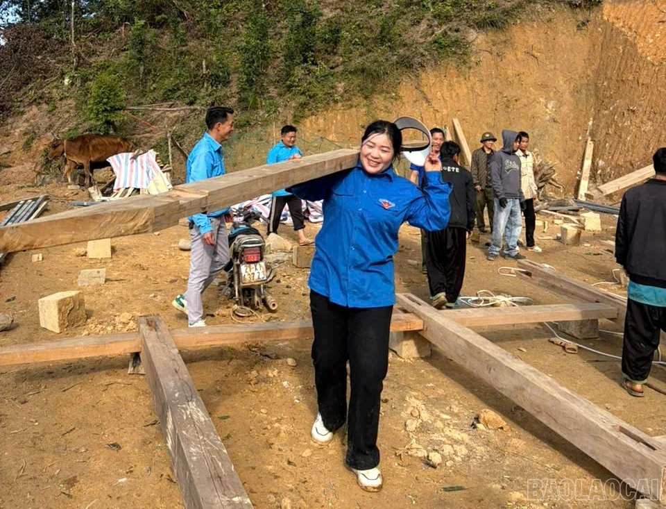 baolaocai-br_z7366685596616-c0b40fdf8fd4416c267275c8ca2f6253.jpg