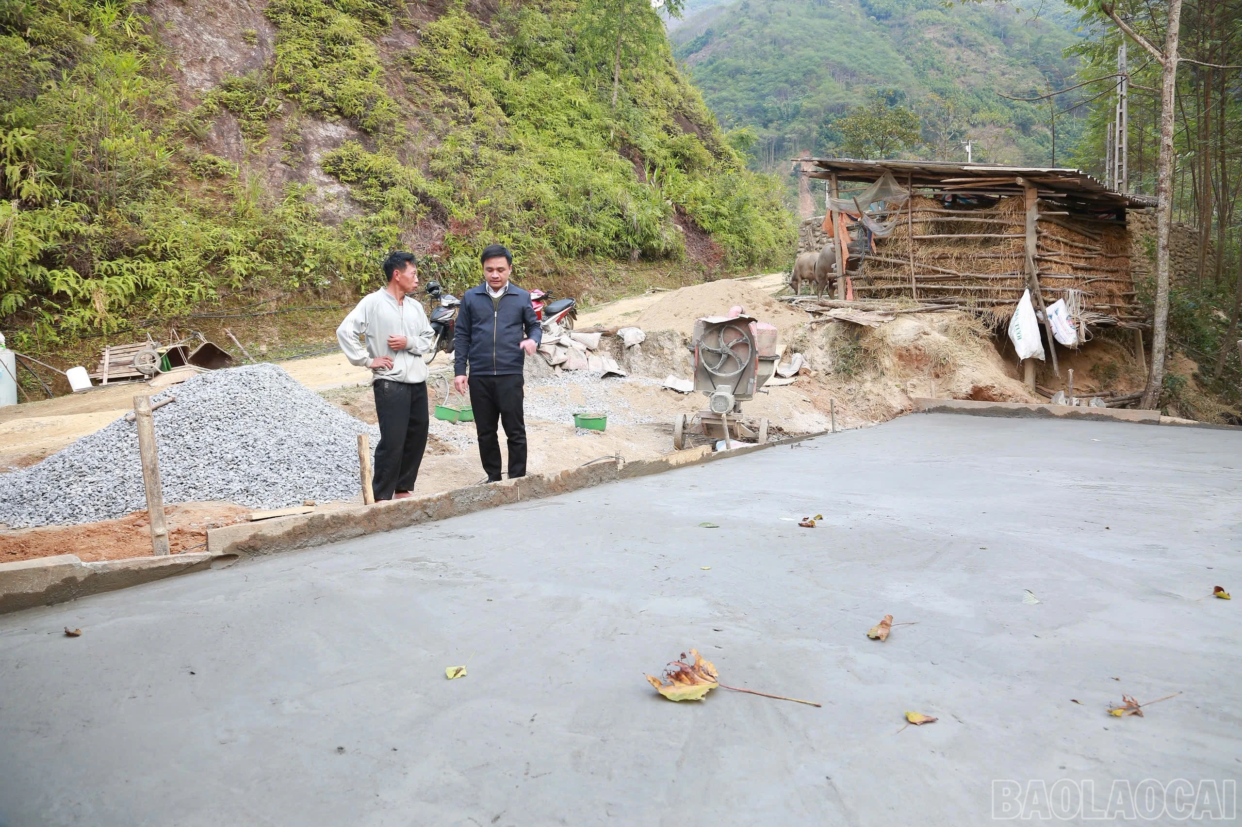 baolaocai-br_z7437231367447-a01965c232f18497da558689f734e733.jpg