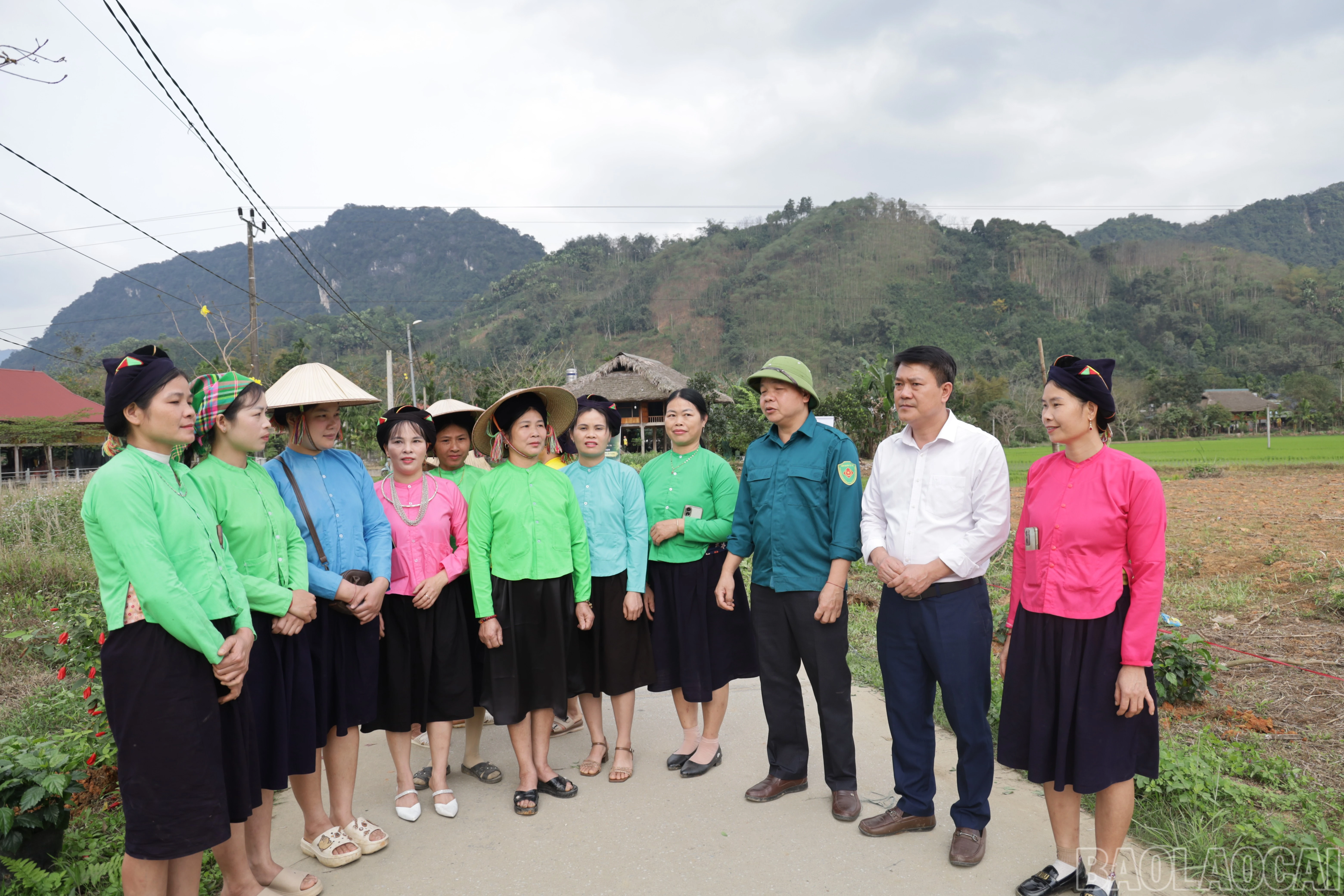 baolaocai-br_img-2137.jpg