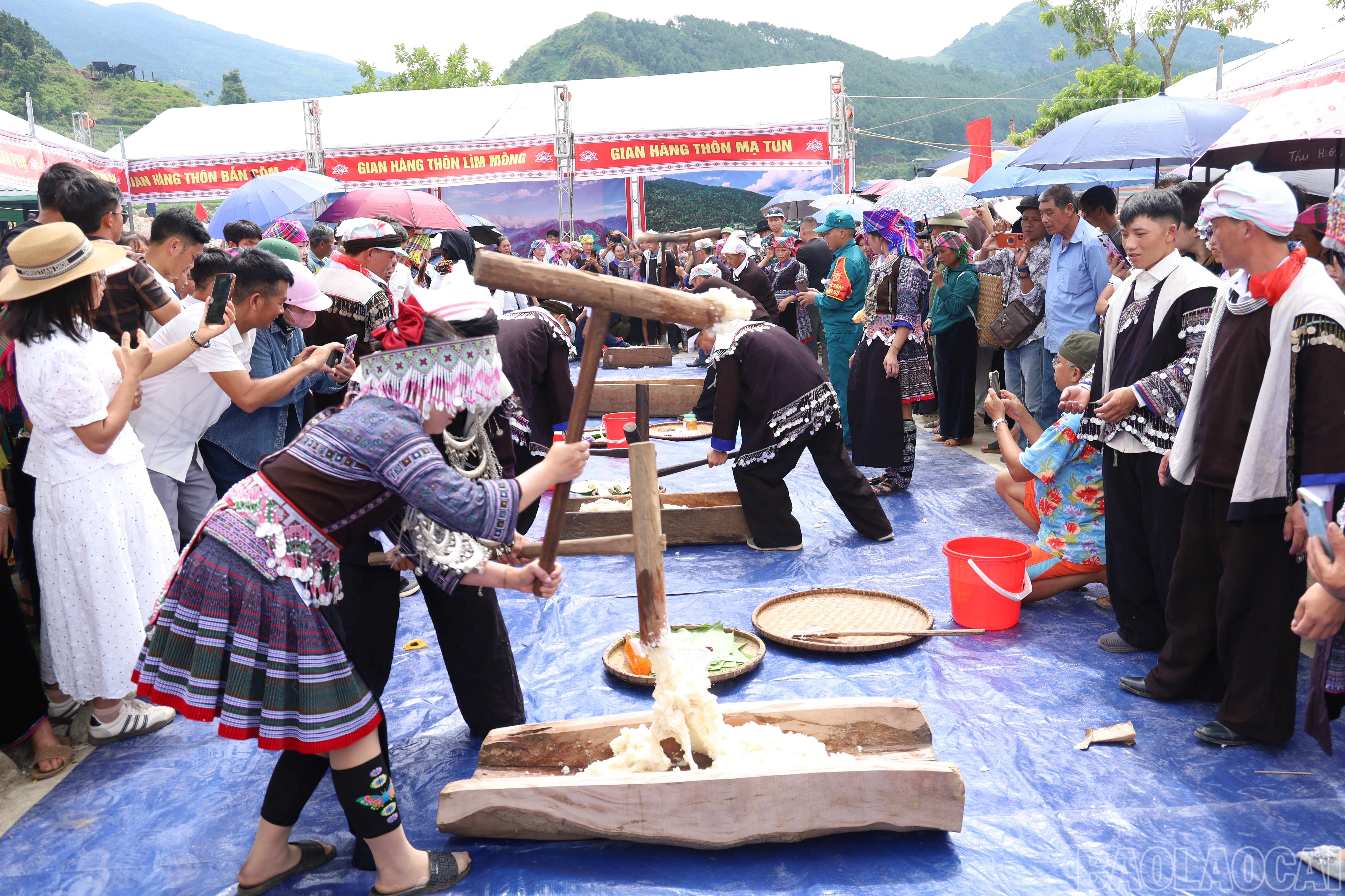 baolaocai-br_img-4973.jpg