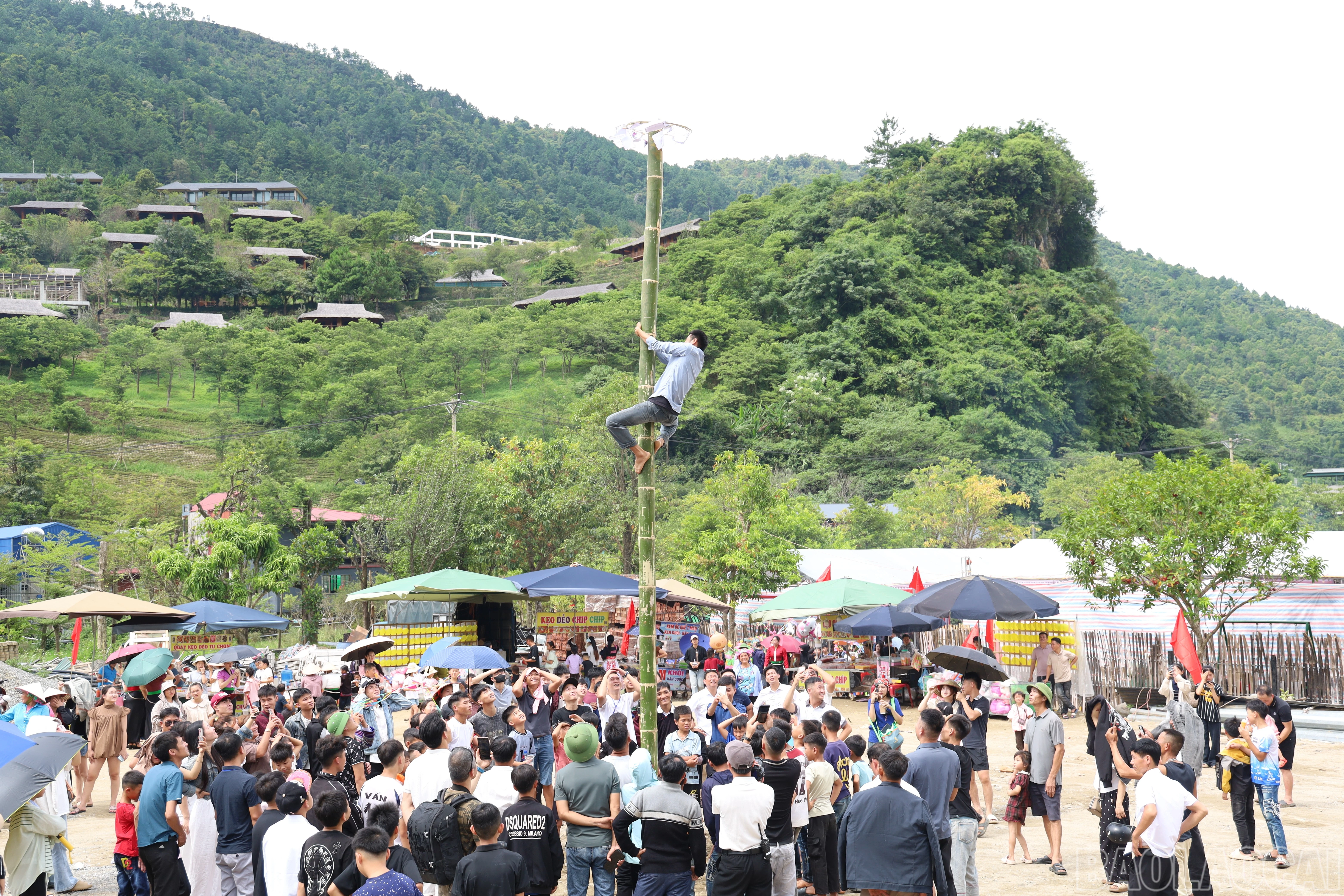 baolaocai-br_img-5007.jpg