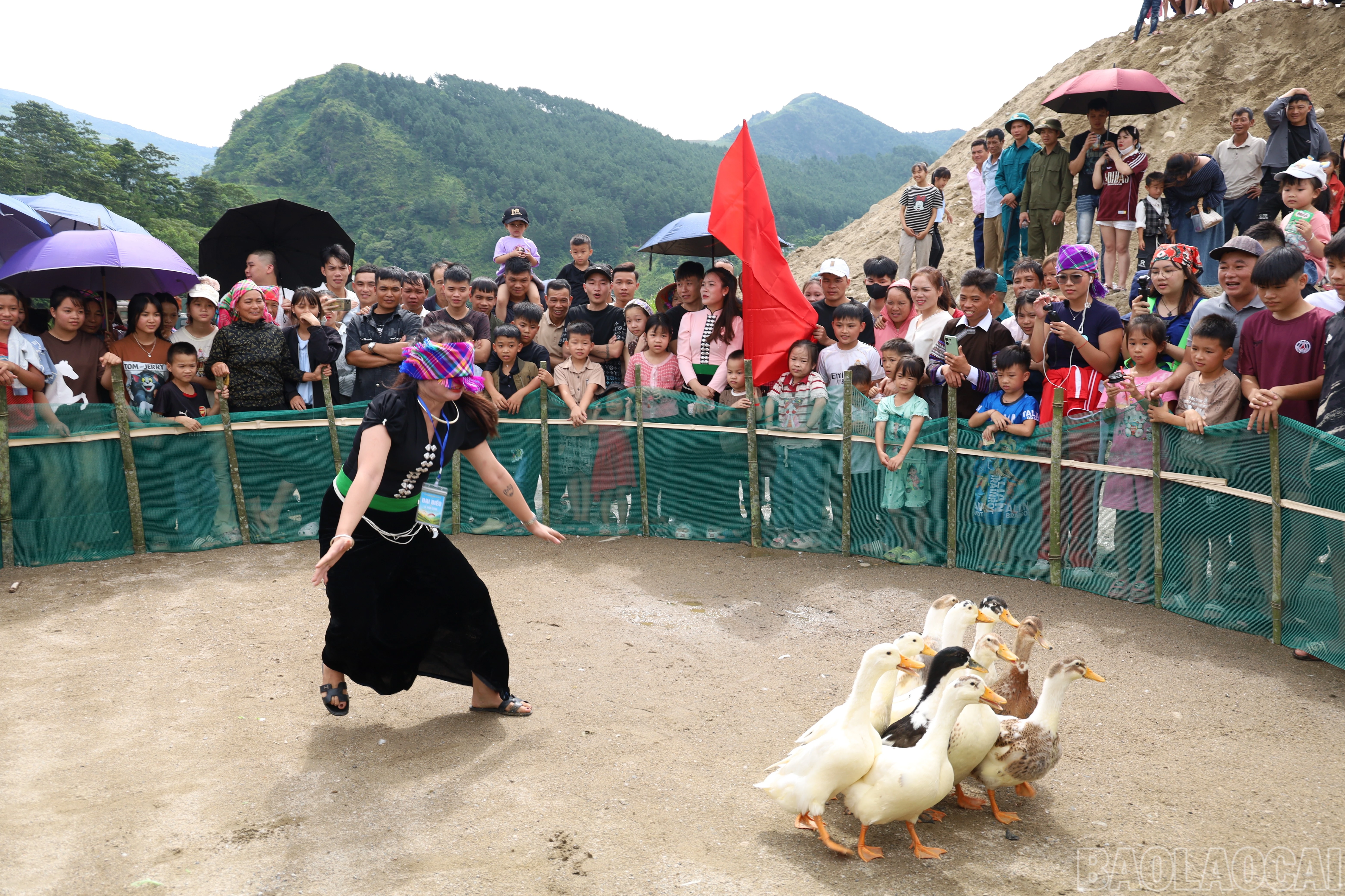 baolaocai-br_img-4914.jpg