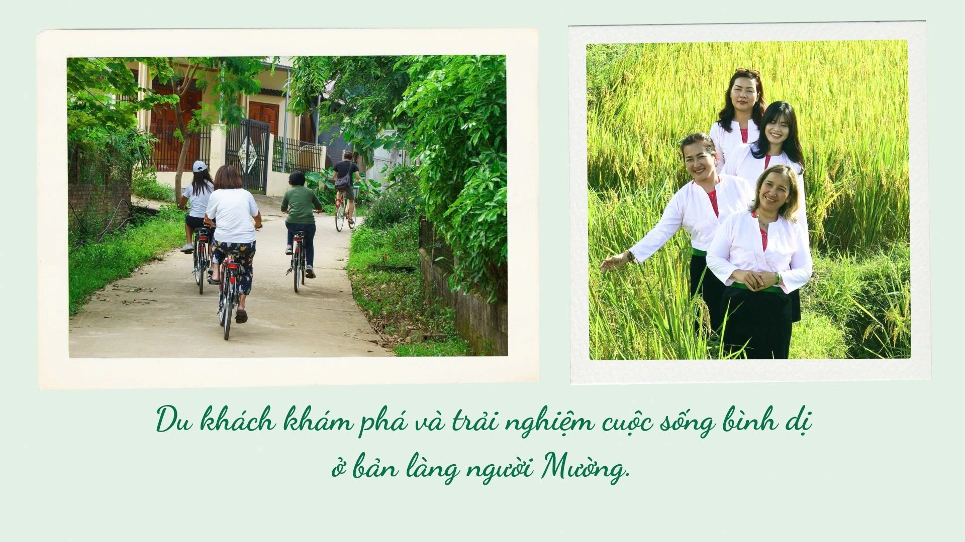 ban-muong-6.jpg