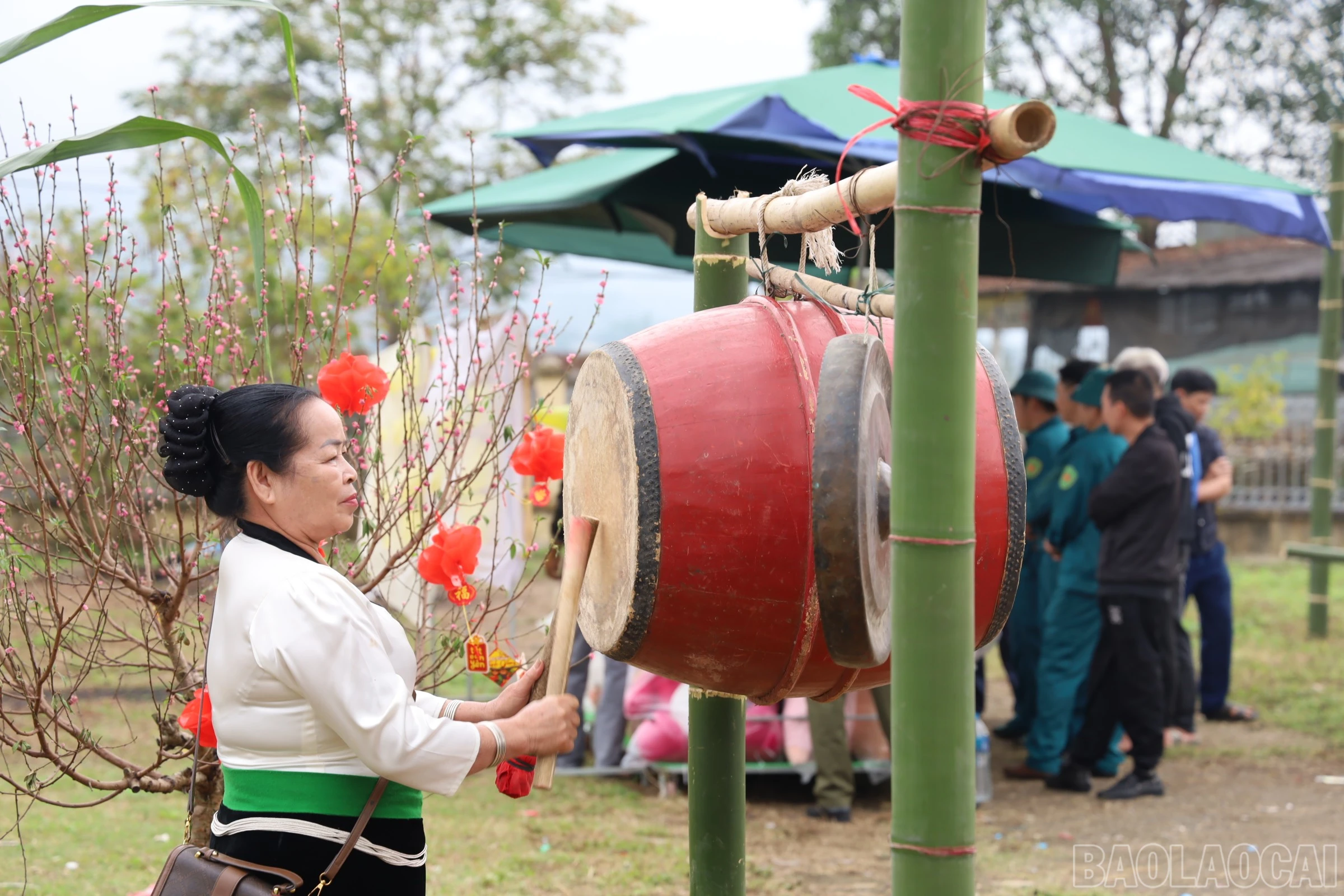baolaocai-br_img-1109.jpg