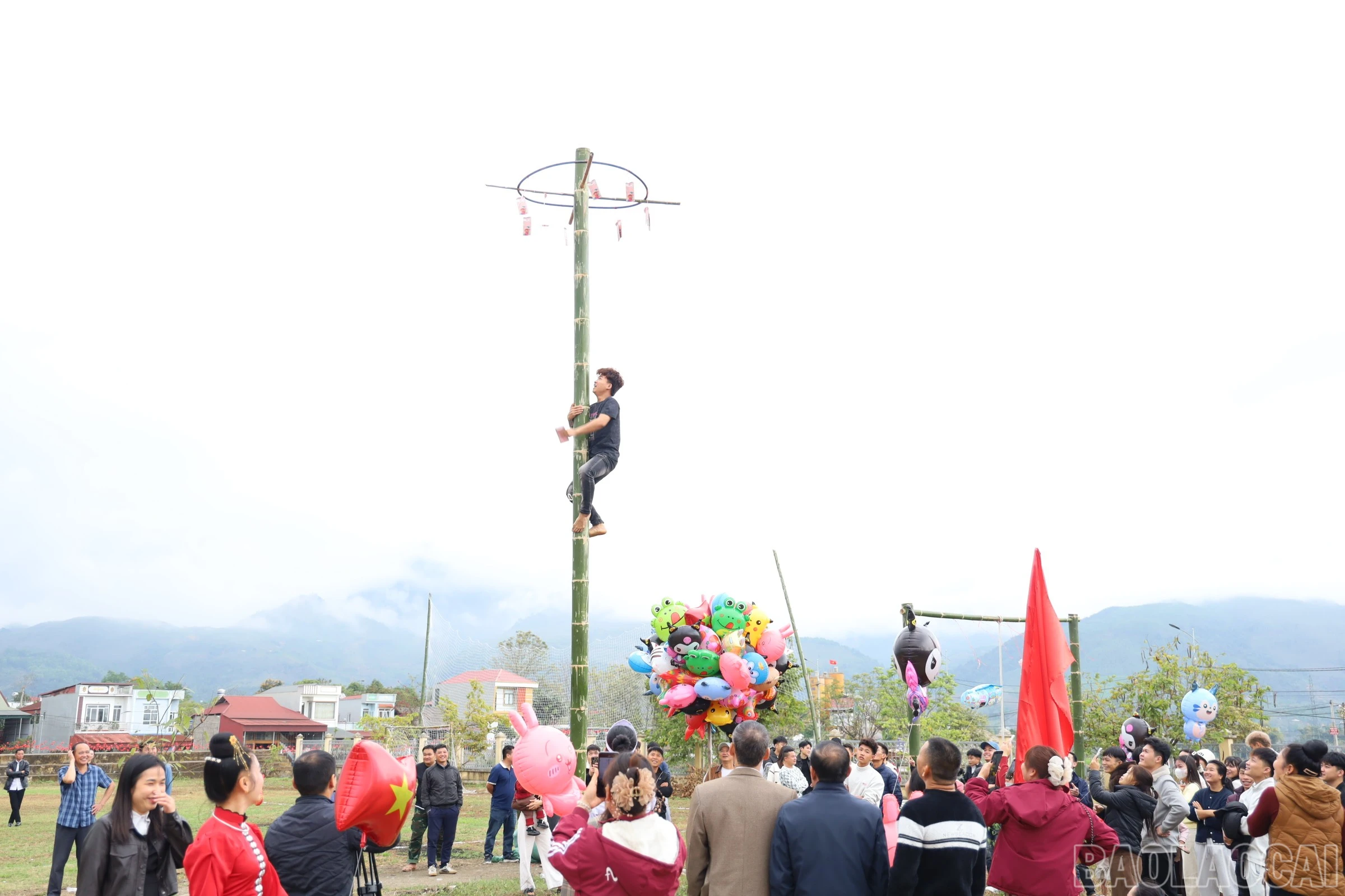 baolaocai-br_img-1220.jpg