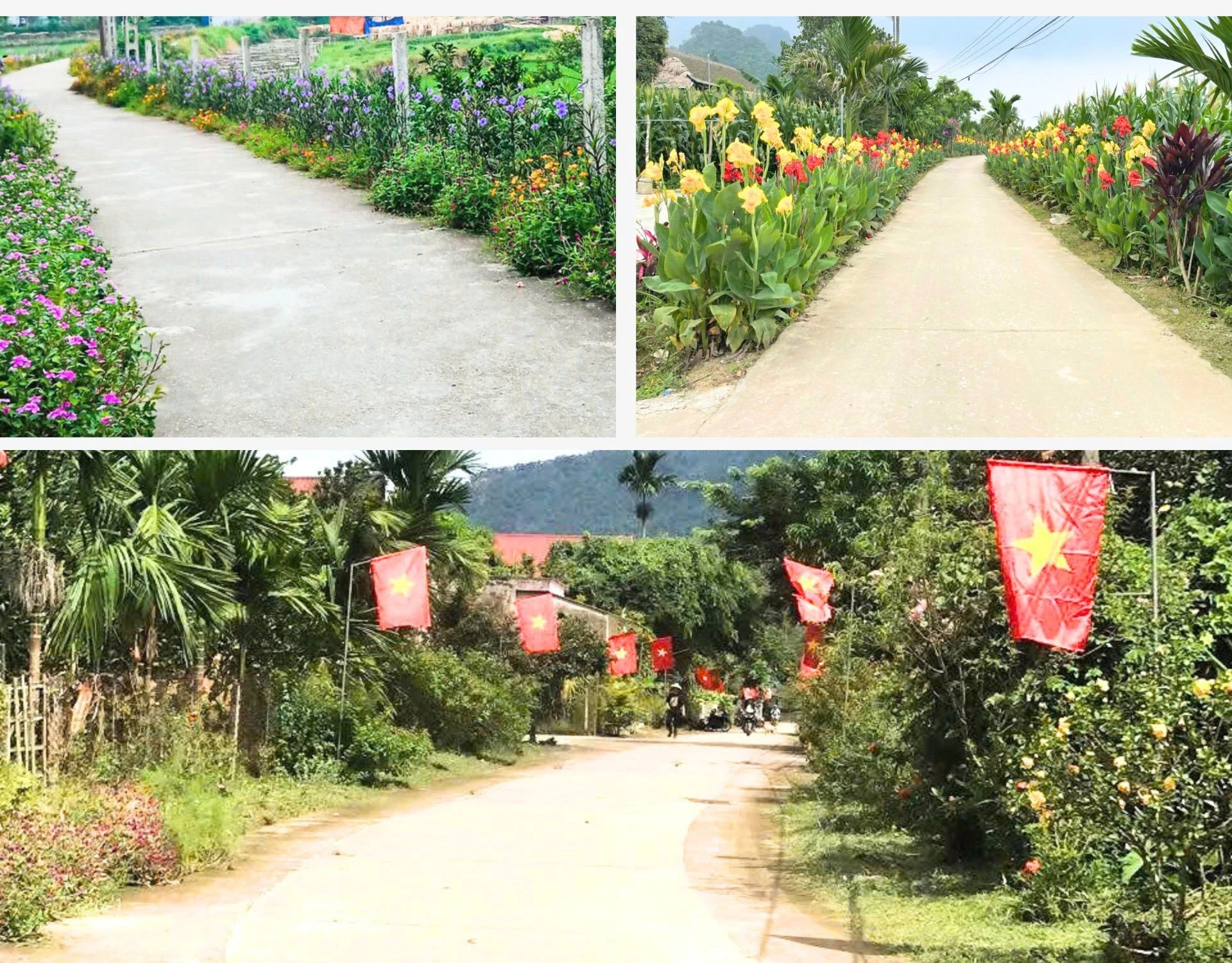 con-duong-hoa.jpg