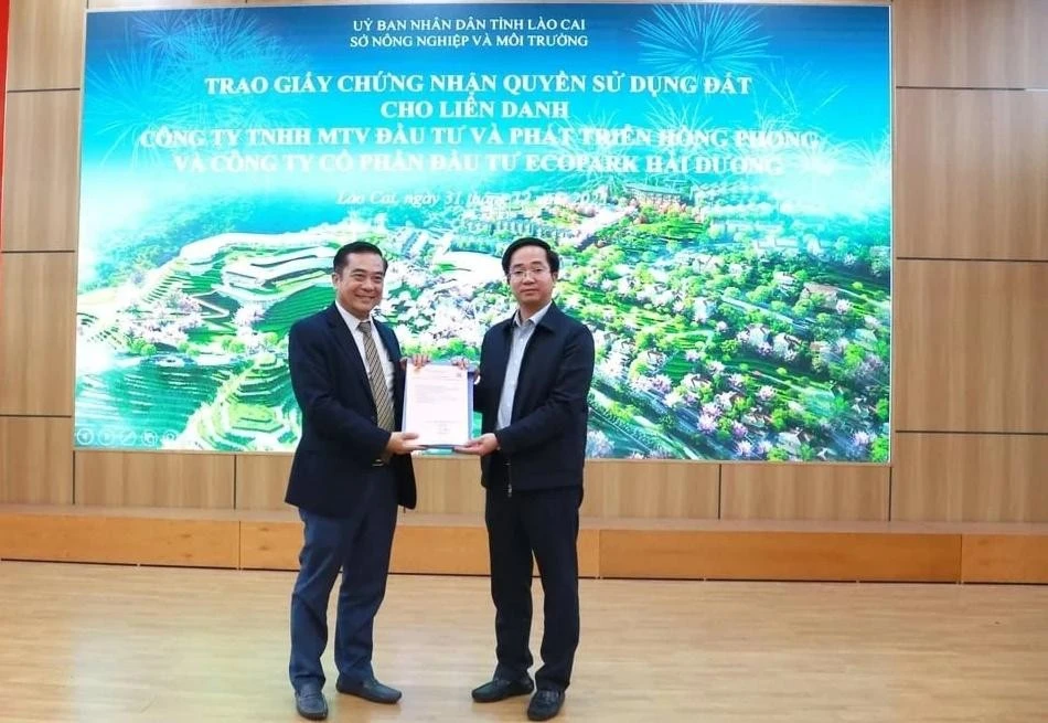 hai-duong-lay.jpg
