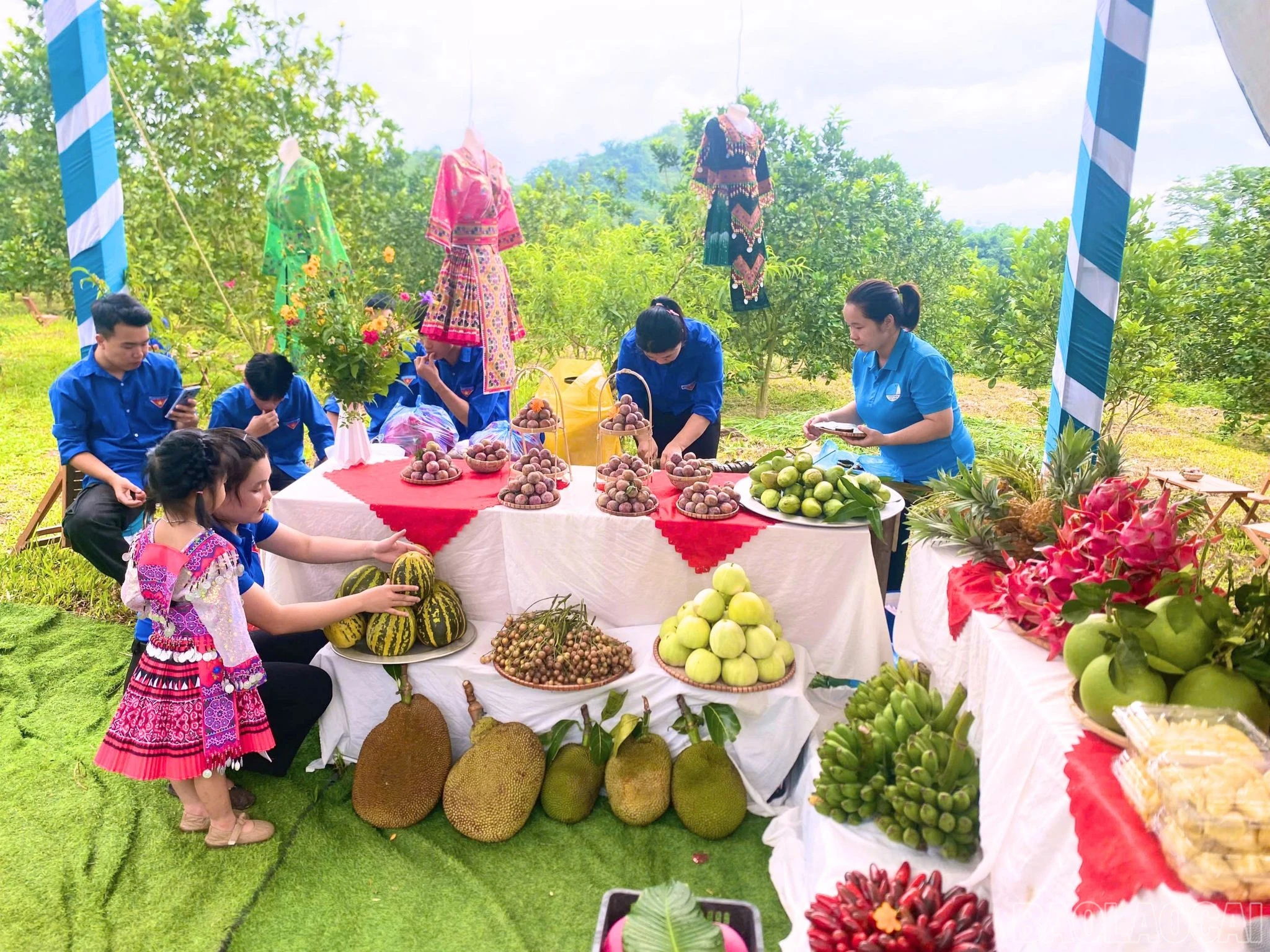 baolaocai-br_thiet-ke-chua-co-ten-31.jpg