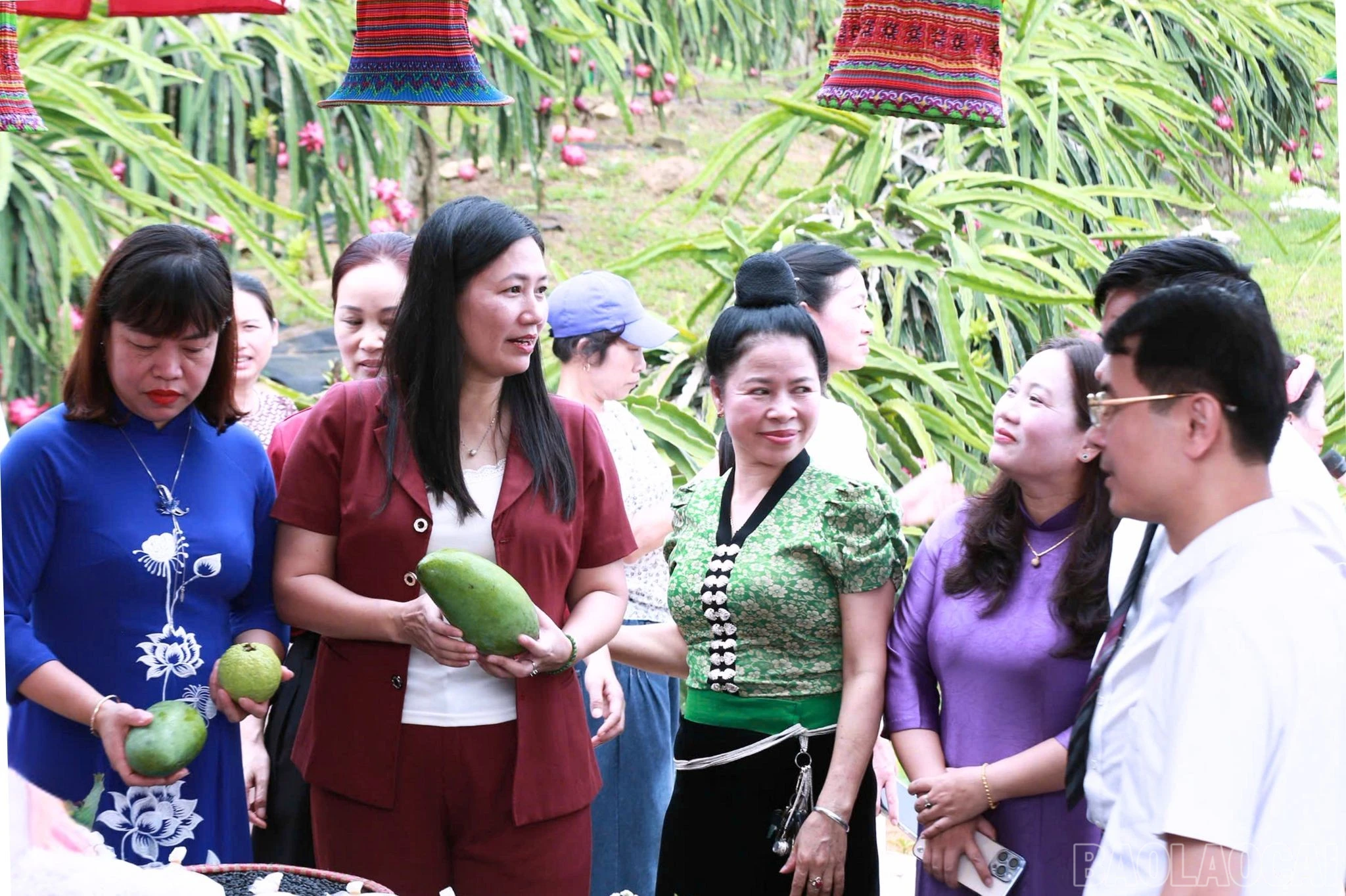 baolaocai-br_lanh-dao-tham-quan-vuon.jpg