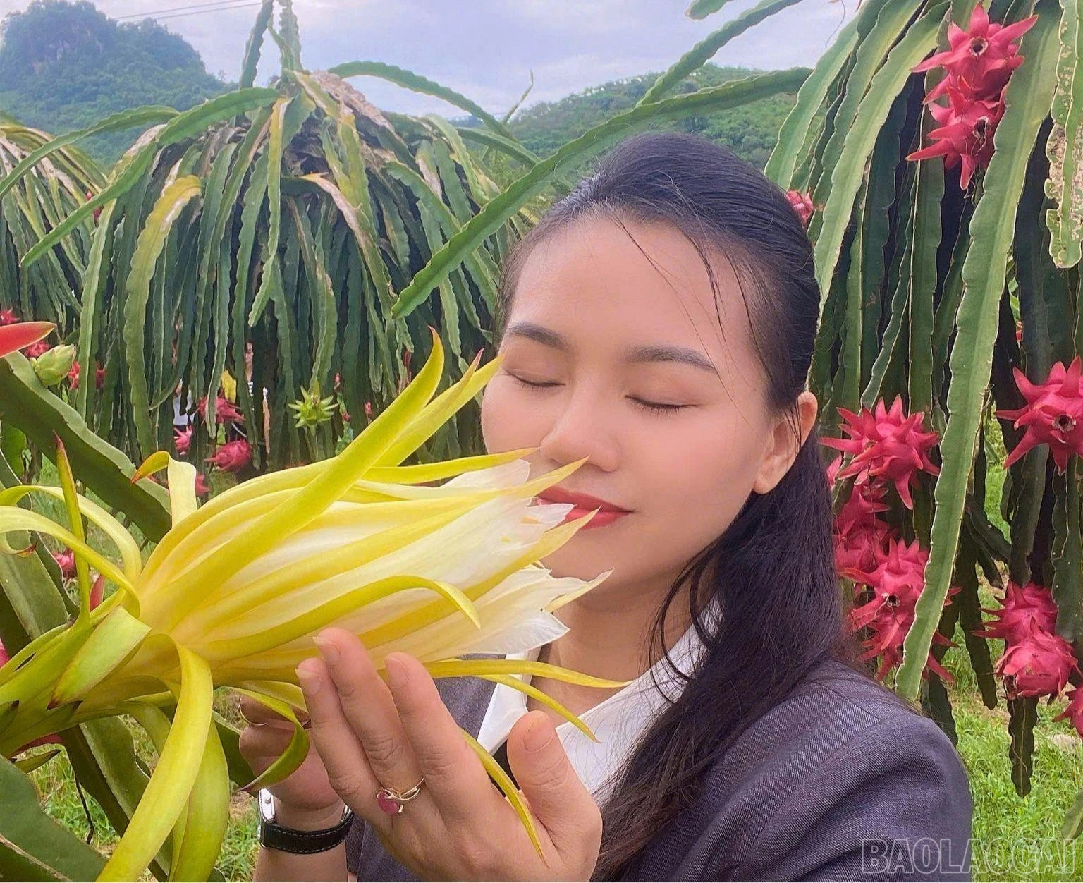 baolaocai-br_du-khac-1.jpg