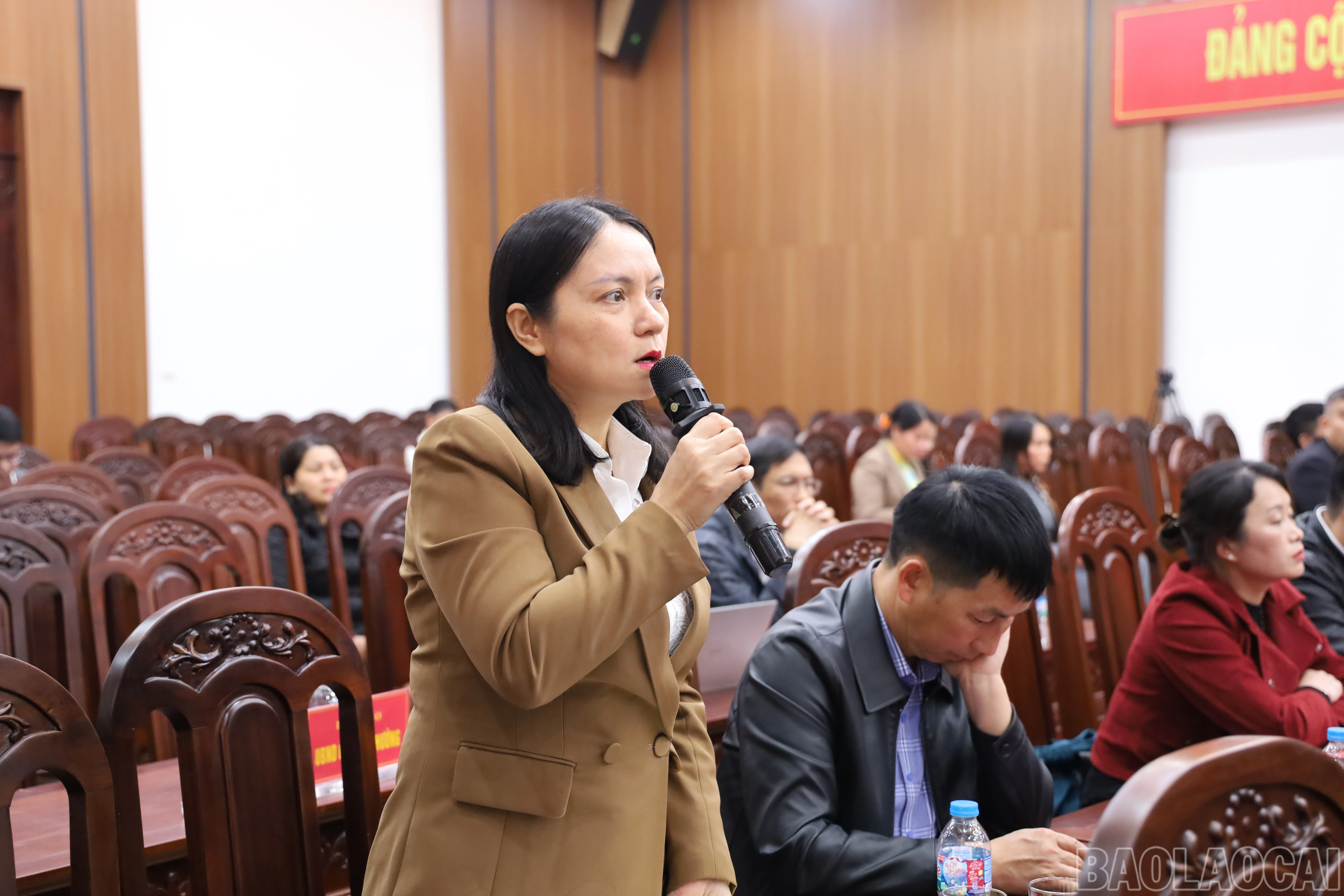 baolaocai-br_img-1228.jpg