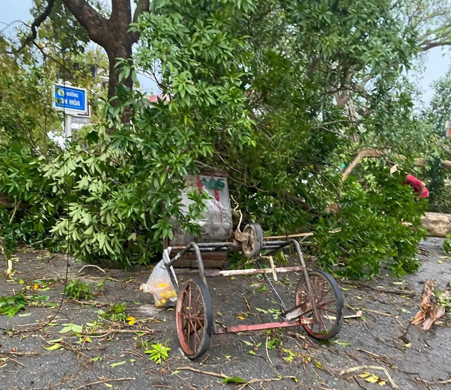 hien-truong.jpg