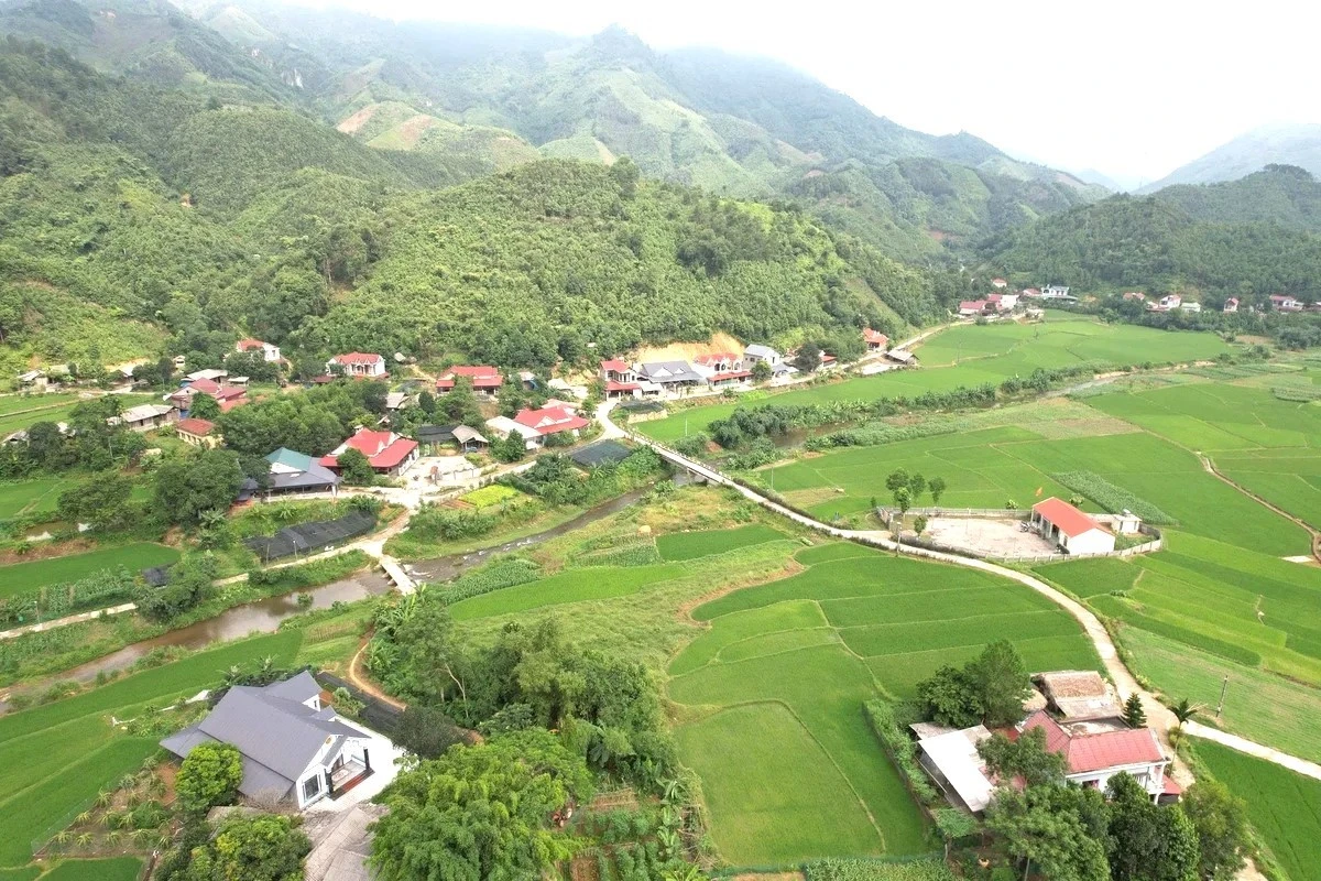 quy-mong.jpg