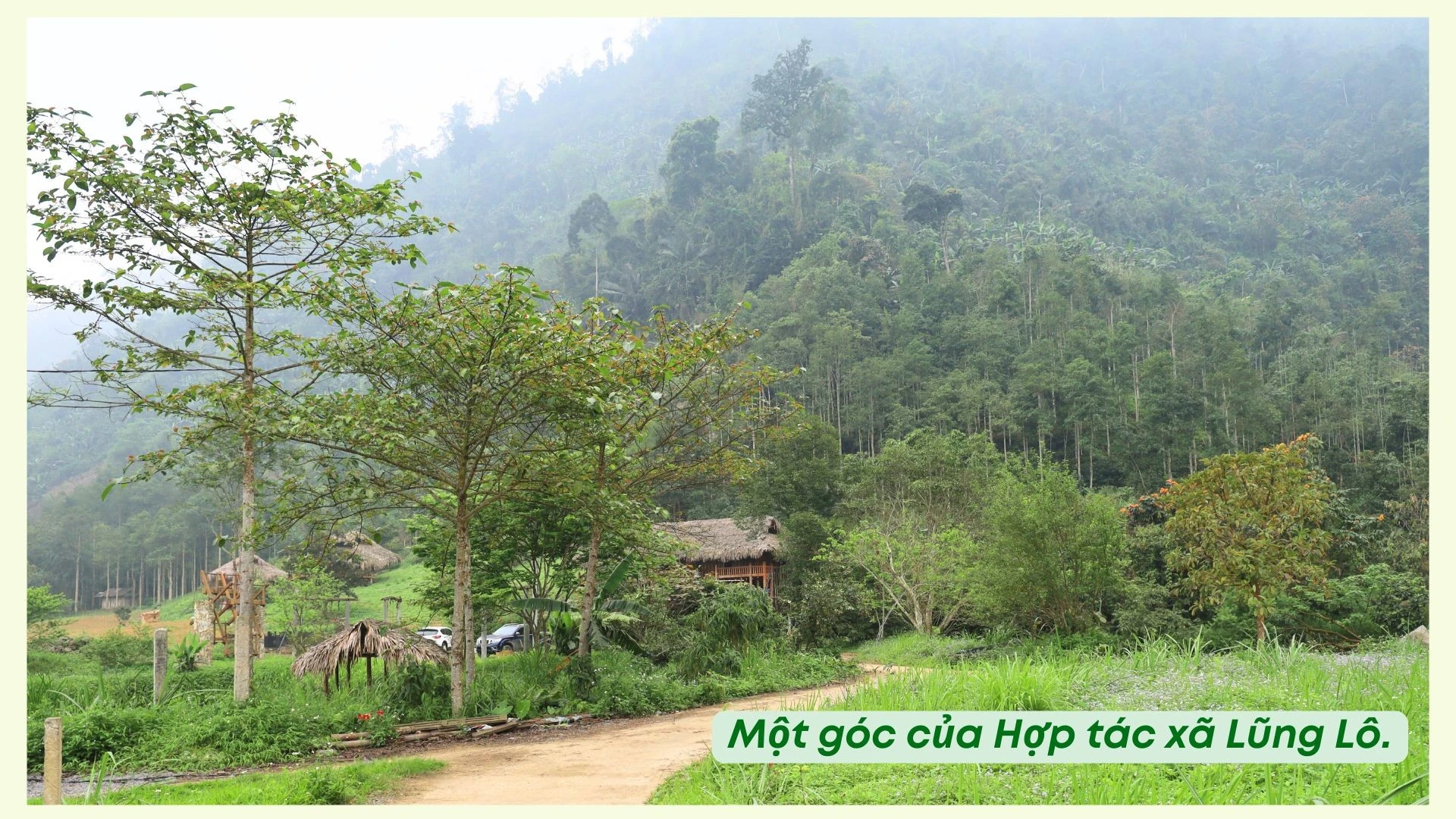 ban-thi-dao-4.jpg