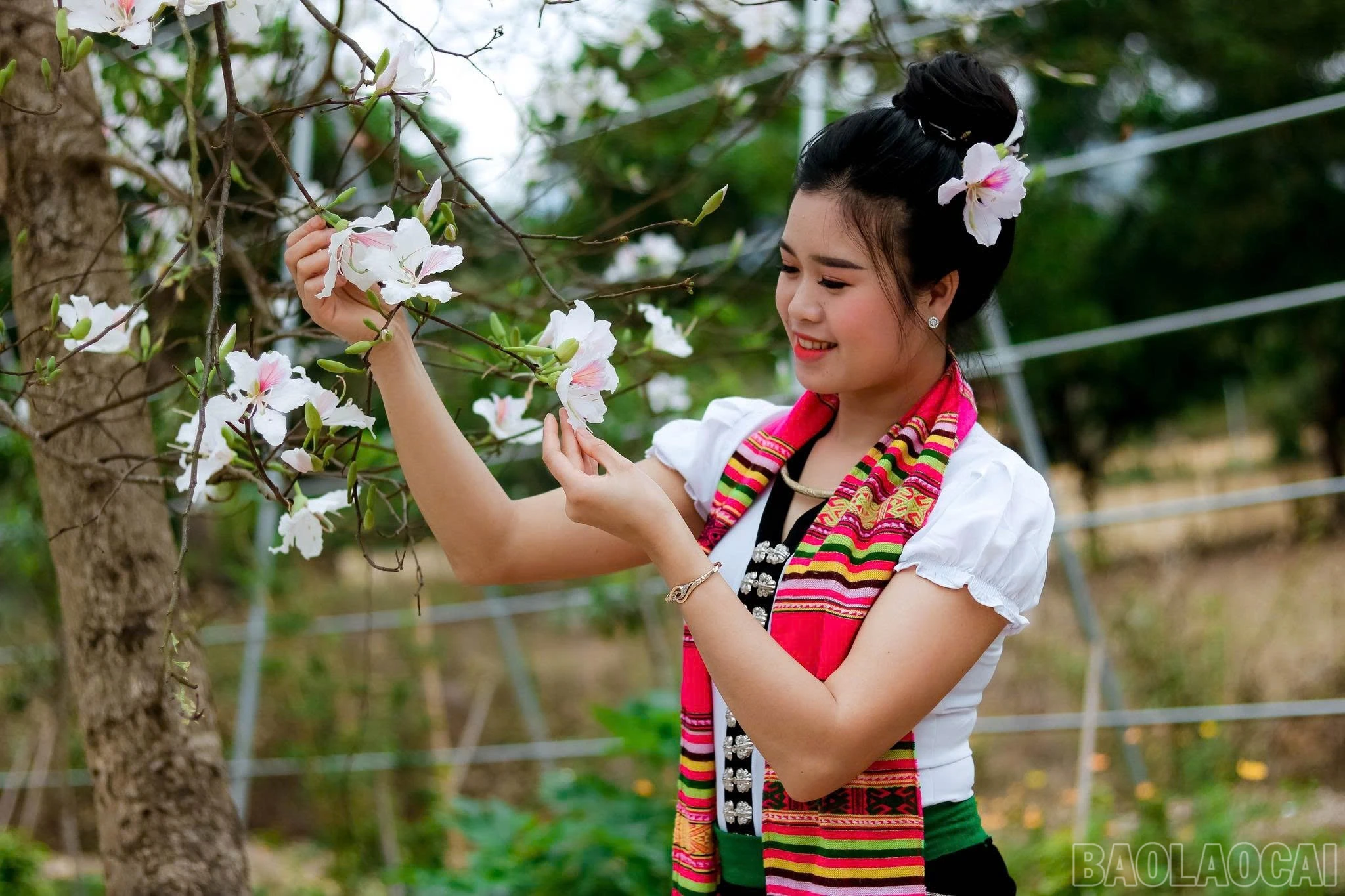 baolaocai-br_z7446564615090-d8d65f509dd4f344b8456c5a93162391.jpg