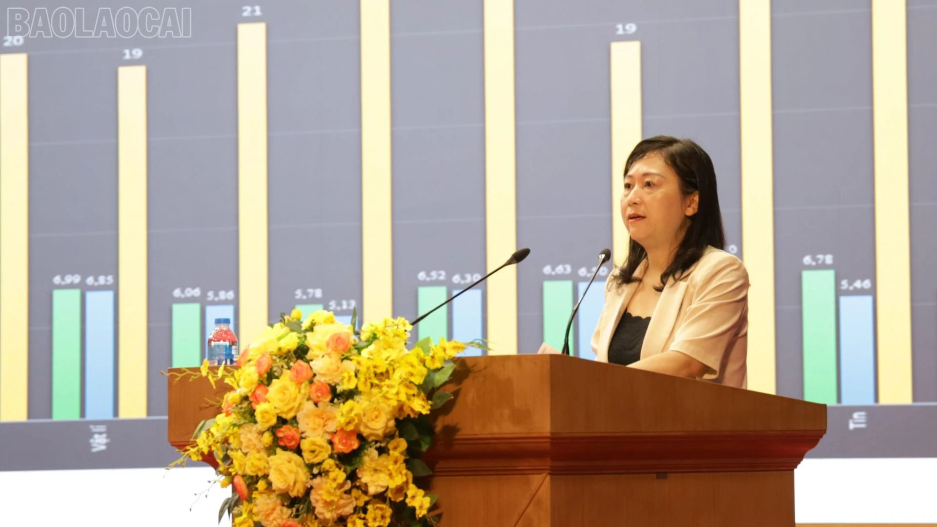 baolaocai-tl_ba-thuy.jpg