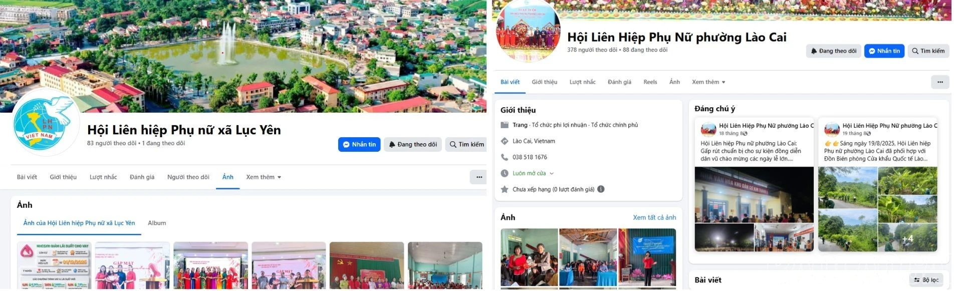 baolaocai-br_thiet-ke.jpg