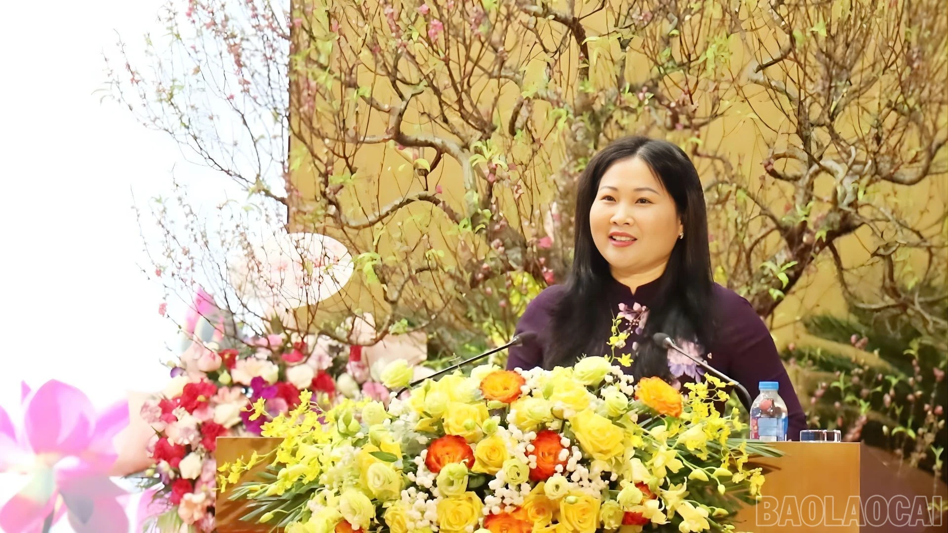 baolaocai-br_chi-hanh-lay.jpg