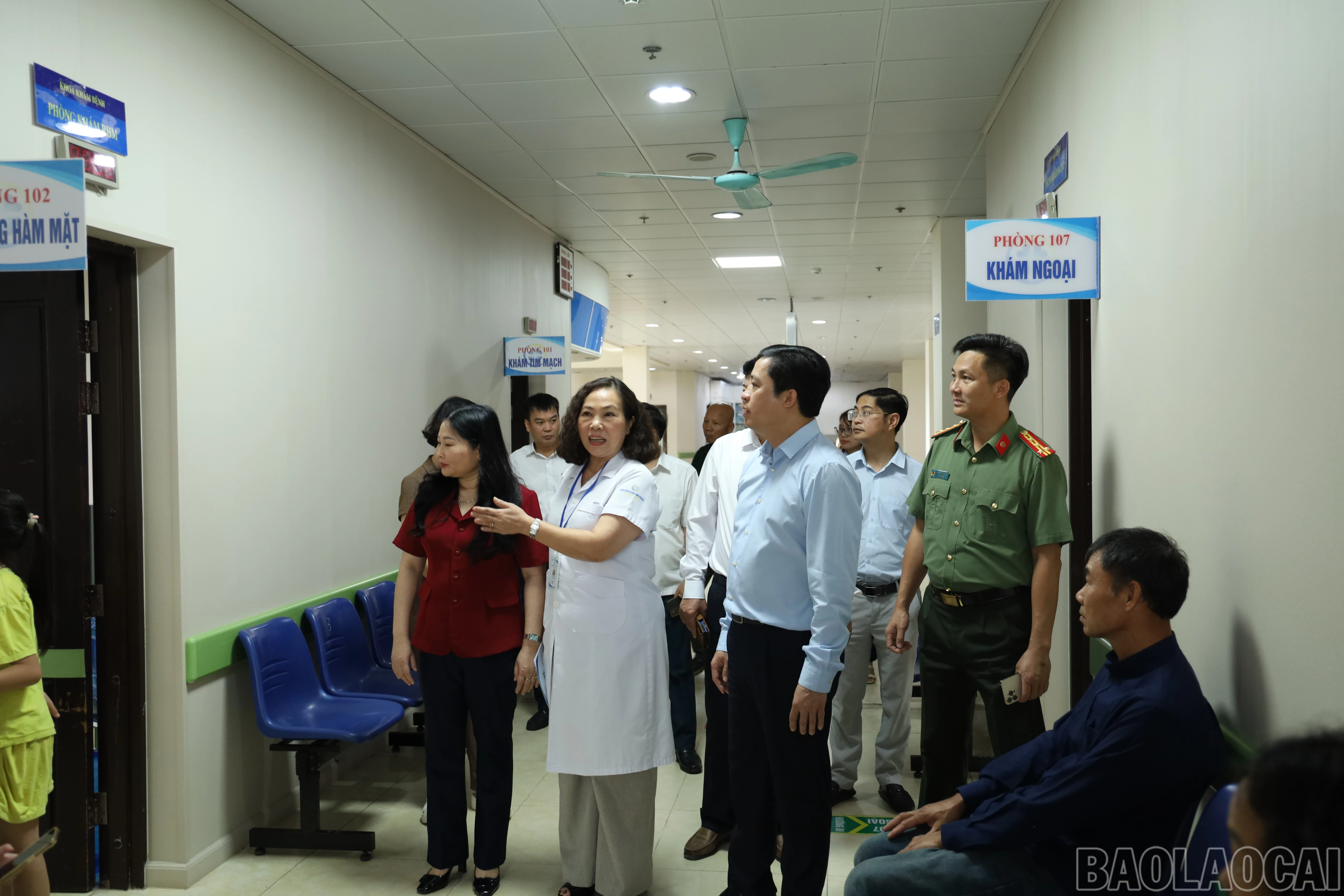 baolaocai-br_img-2344.jpg