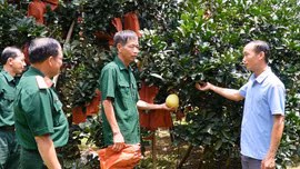 Những người lính trên mặt trận mới