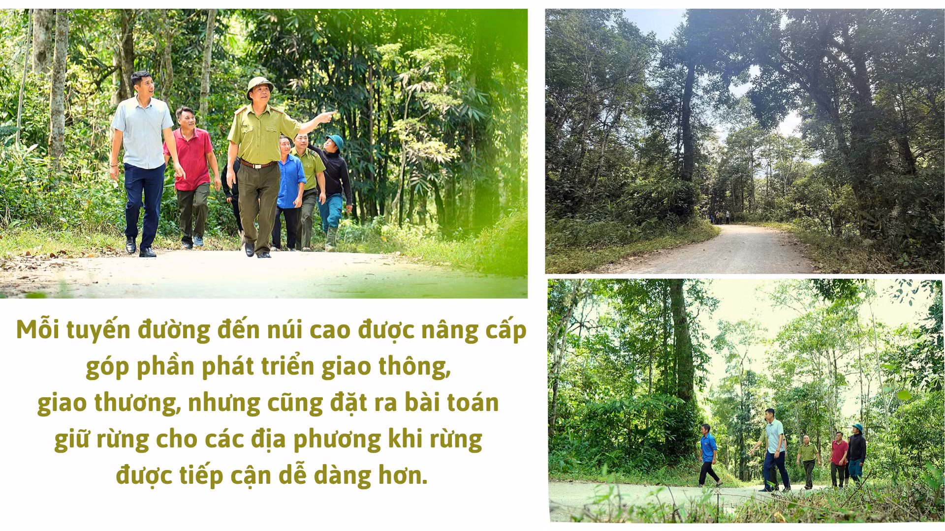 green-modern-mountain-presentation.png
