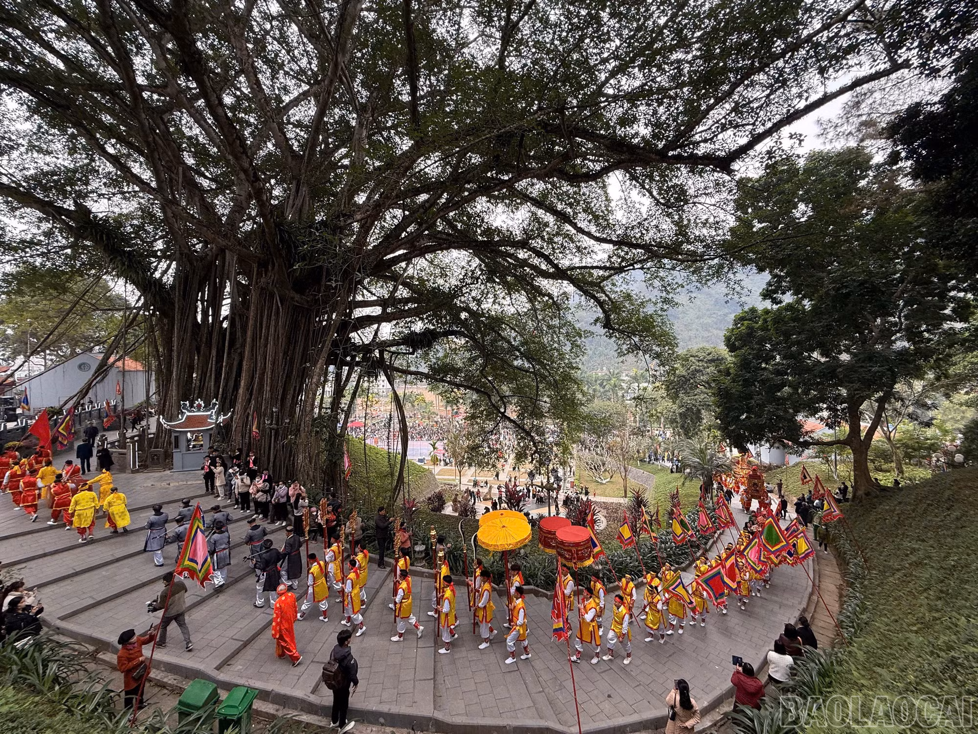 baolaocai-br_z7253843549676-9cca36b5b3cb3d1f2a5d5fac4f690515.jpg