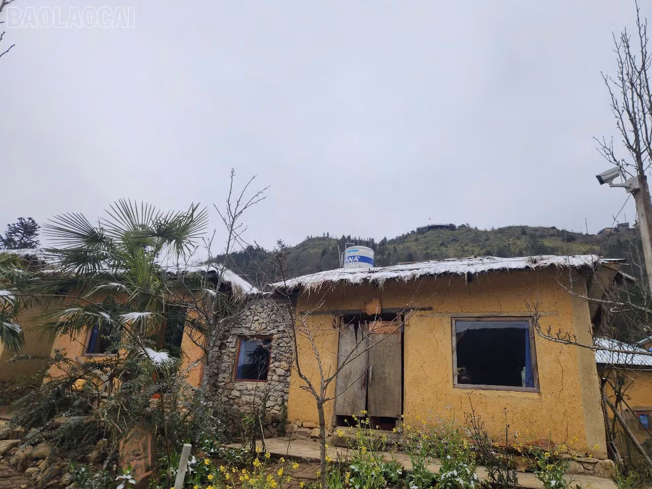 baolaocai-tl_z6267035494344-dd9c8379f5c8f9499a62a4e83d14a91c.jpg