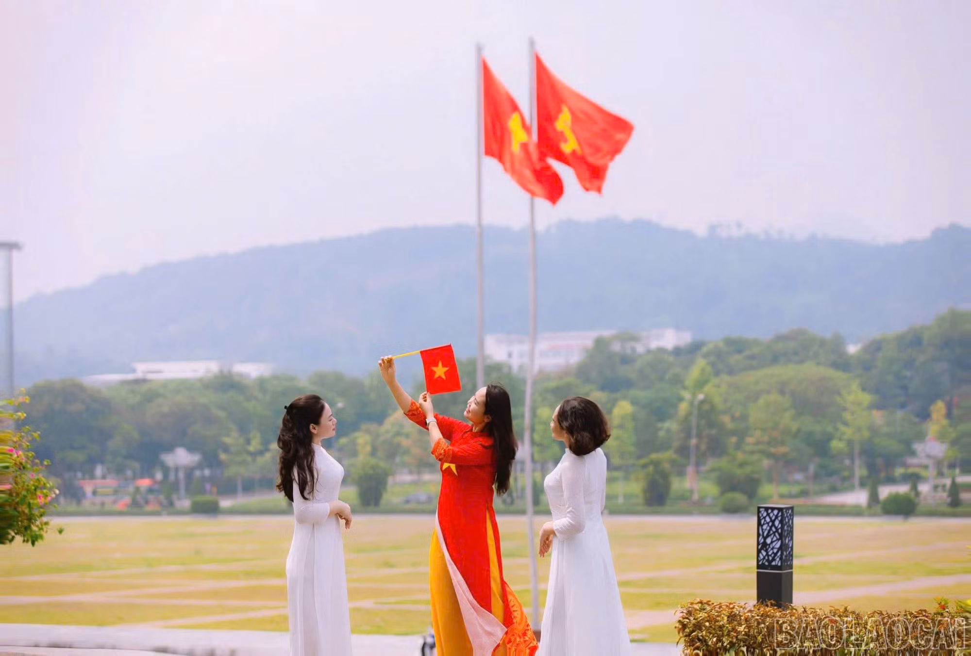 baolaocai-br_z6547551421762-9336c944a883d68120e631fa184a5ae7.jpg