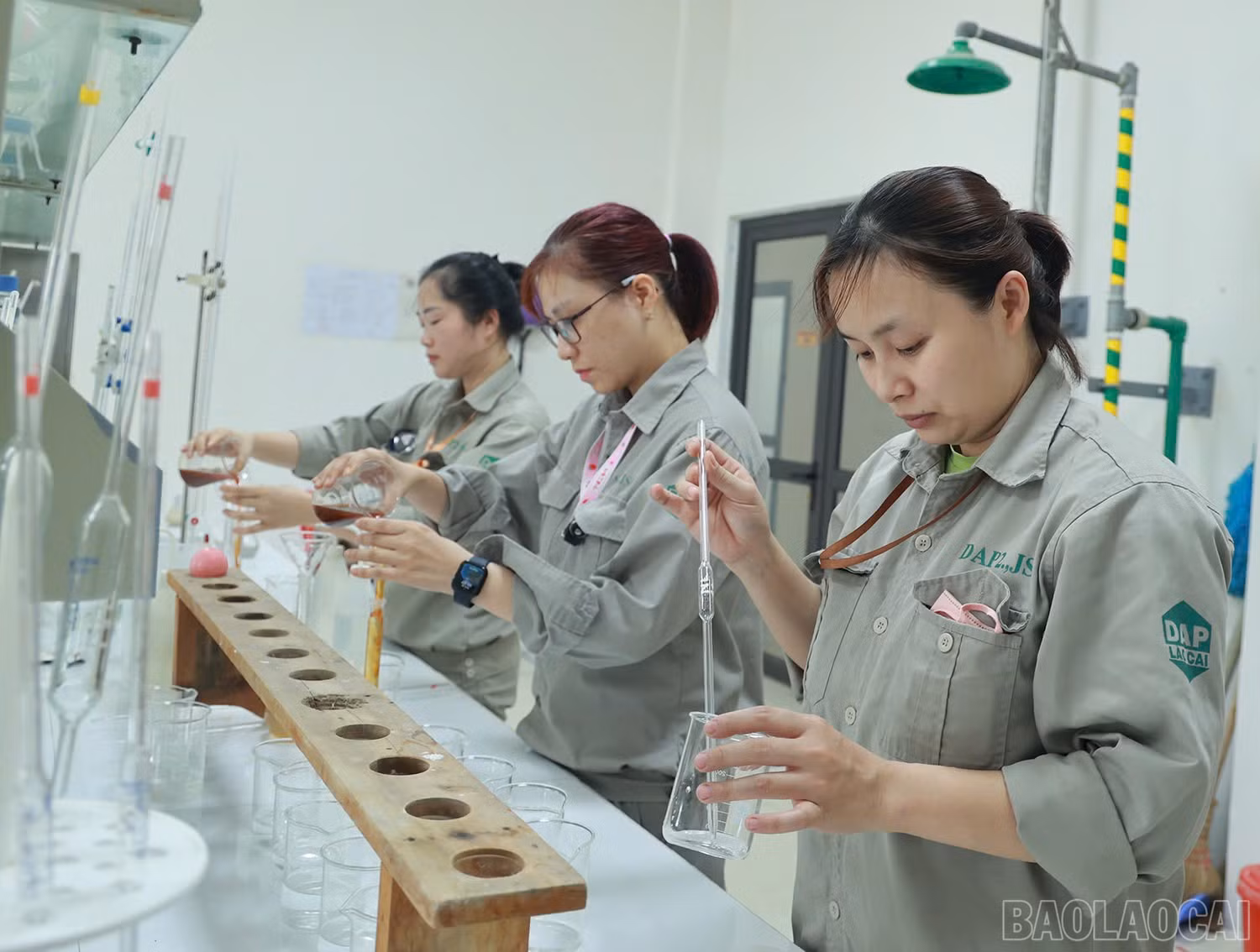 baolaocai-br_z6595338086995-94d14eb899086213b39385a50475795f.jpg
