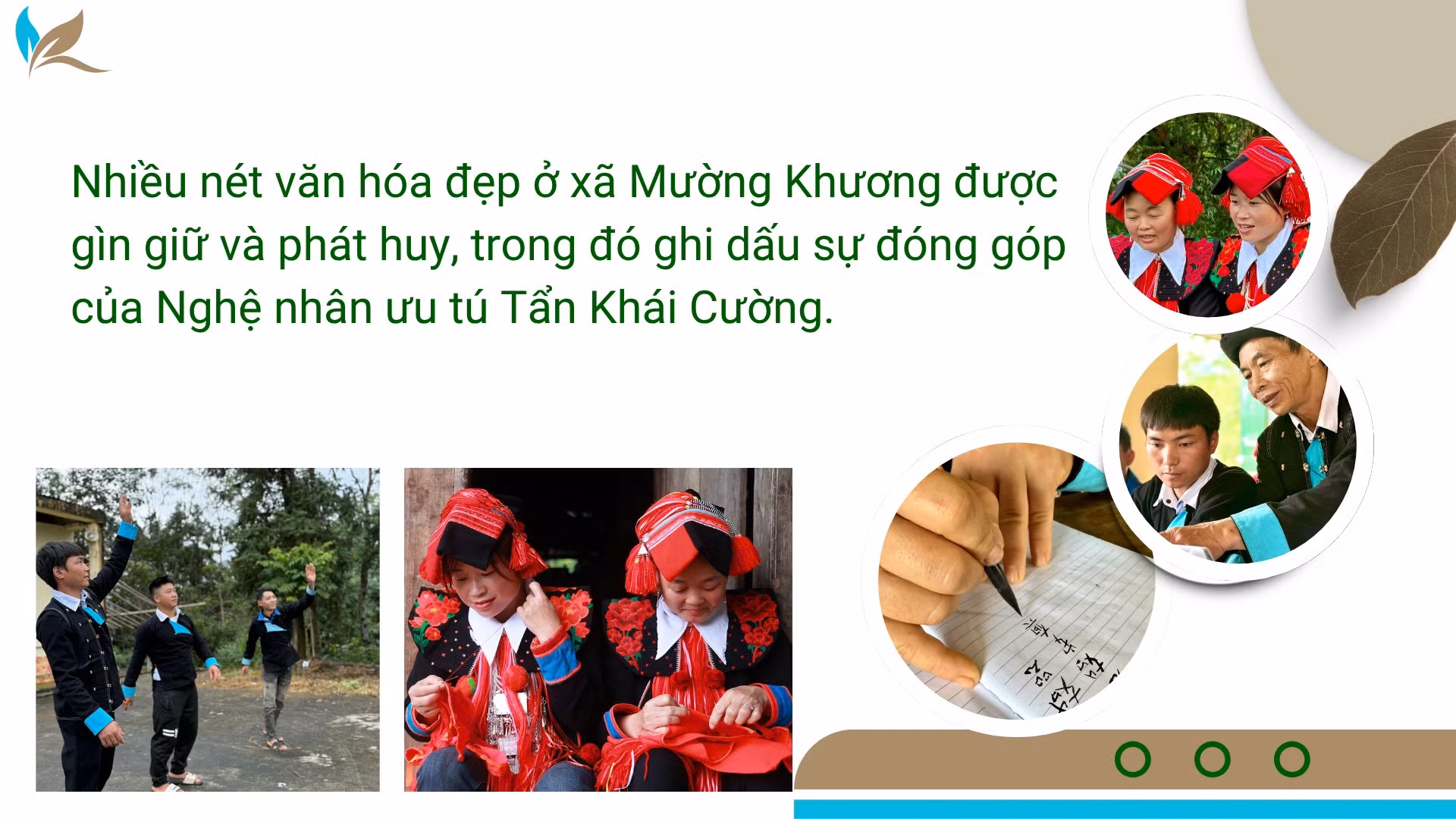 white-green-and-dark-green-modern-hydroponic-agriculture-company-profile-presentation.png