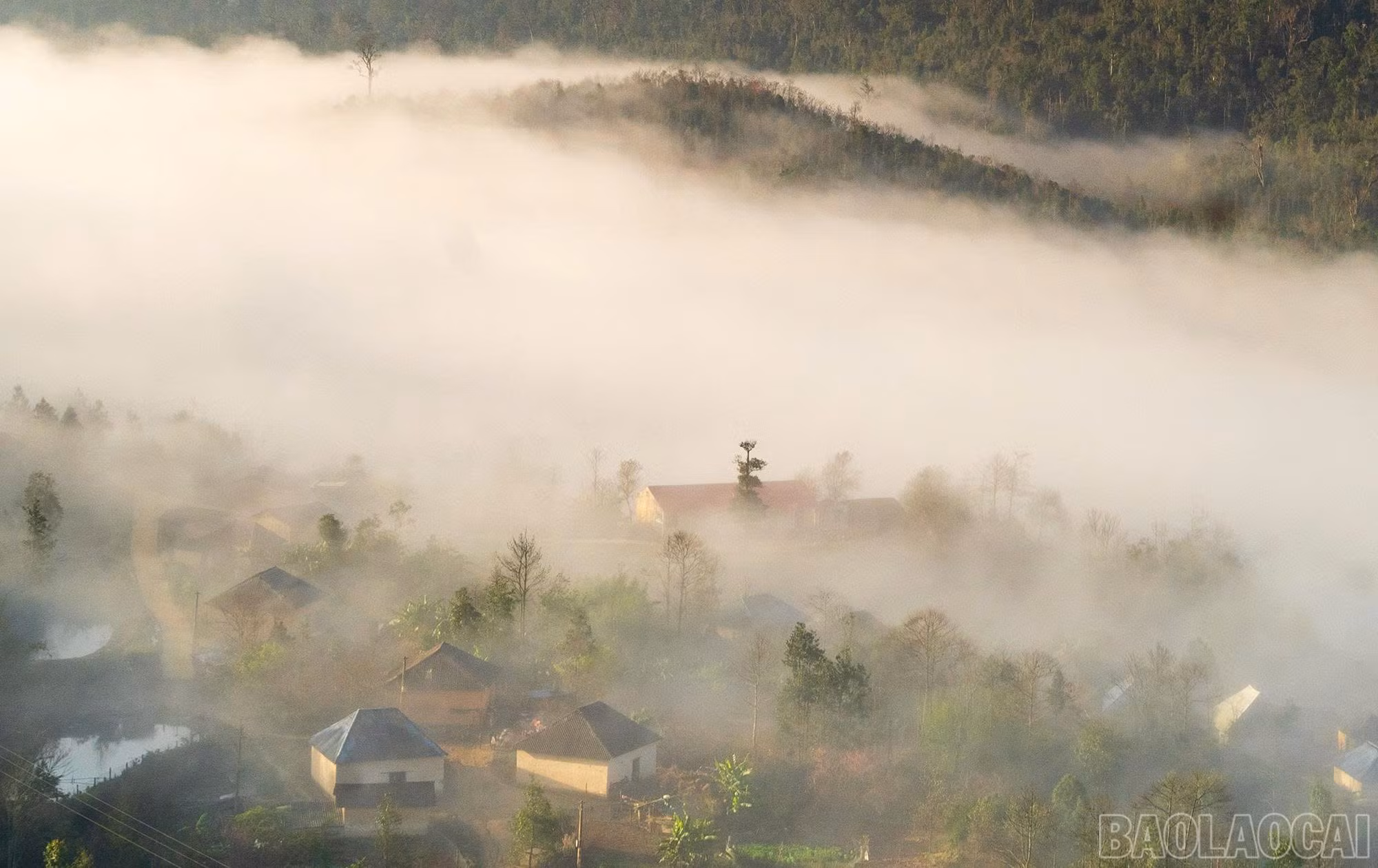 baolaocai-br_z7395534778975-fdc3f0eb4eaddd23bb231bdbb7d7a745.jpg
