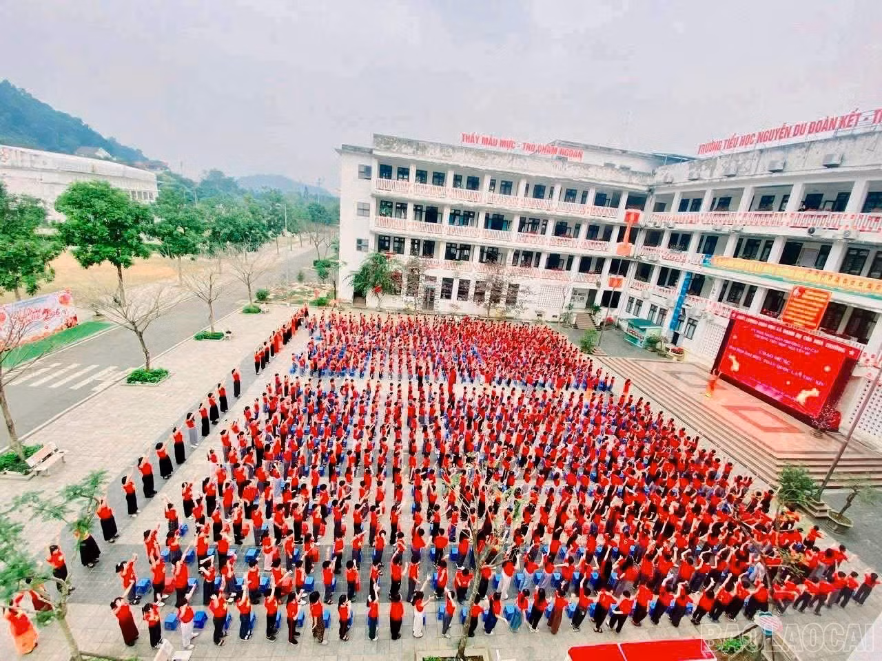 baolaocai-br_z7447976988918-a53b70f2cc76802f355238dac1f0b082.jpg